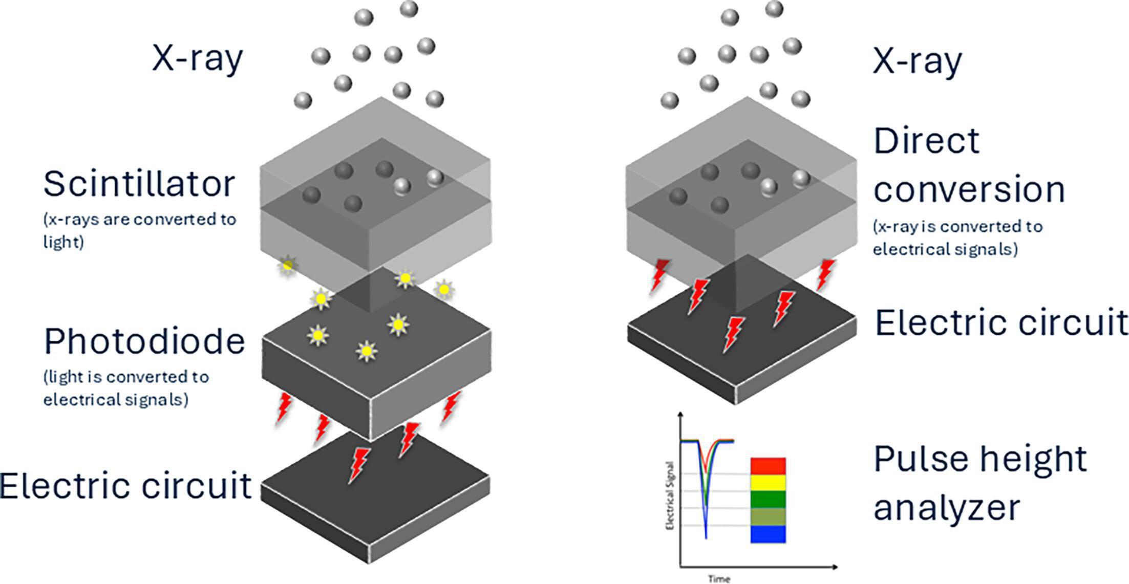 Comparison of energy-integrating detector (EID) and photon-counting detector architectures. Left: conventional EID-CT uses a 2-step, indirect conversion process in which x-ray photons are first absorbed by a scintillator that converts them into visible light. The resulting light photons are then detected by a photodiode and converted into electrical signals. This indirect process causes light scatter and loss of spectral information. Right: In photon-counting CT (PCCT), x-ray photons are directly converted into electrical signals within a semiconductor layer, eliminating the scintillator. Each photon is individually counted and its energy measured by a pulse height analyzer, enabling direct energy discrimination and multienergy data acquisition from a single scan.