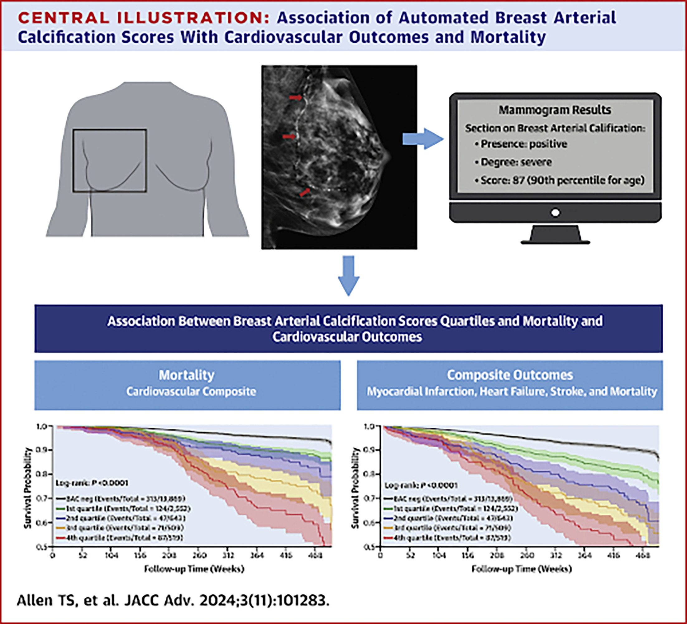Association of breast arterial calcification with cardiovascular outcomes and mortality using artificial intelligence-based scoring. Reproduced with permission from Allen et al.