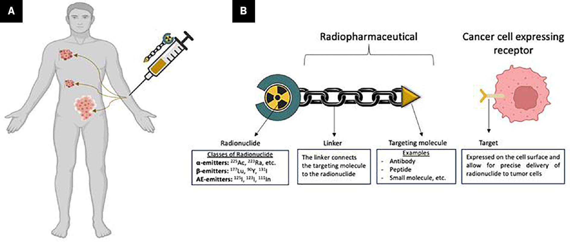 Radiopharmaceutical therapy delivers systemic radiation to tumor. (A) A radiolabeled, tumor-specific compound known as a “radiopharmaceutical” is administered intravenously, resulting in selective accumulation of radionuclide in the tumor microenvironment. (B) Pharmacophoric model of radiopharmaceutical agent. A targeting molecule is conjugated to a therapeutic radionuclide via a linker and chelator, forming a radiopharmaceutical that ensures precise delivery of radiation to tumor cells.