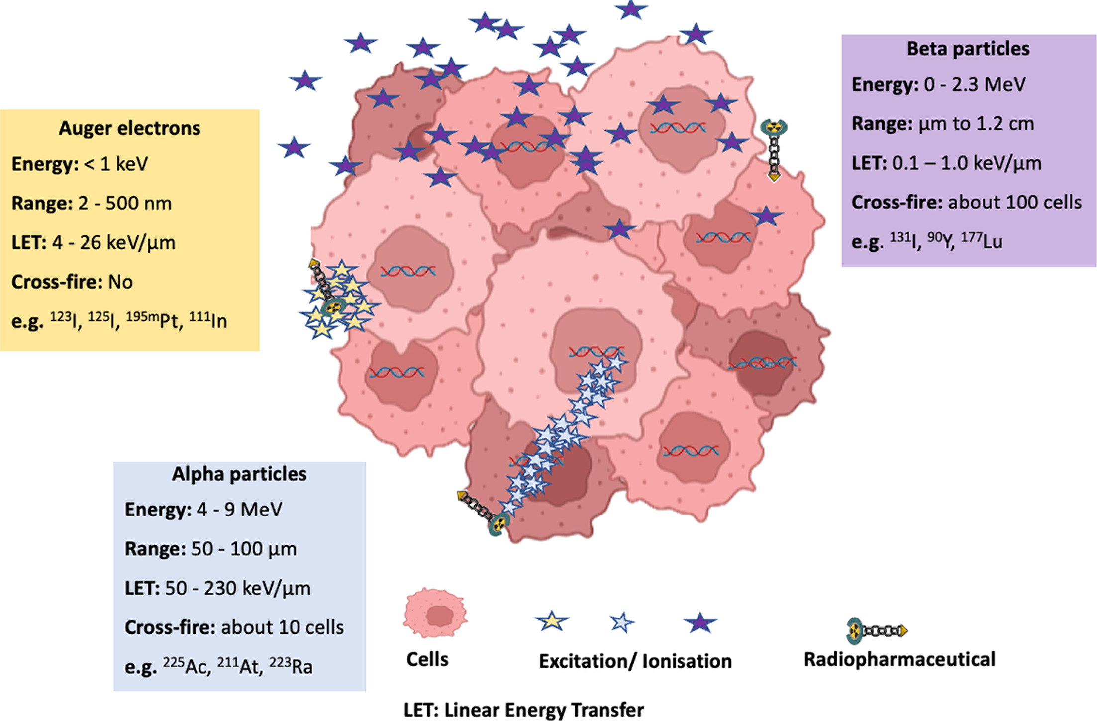 Characteristics of various radionuclides used for radiopharmaceutical therapy.