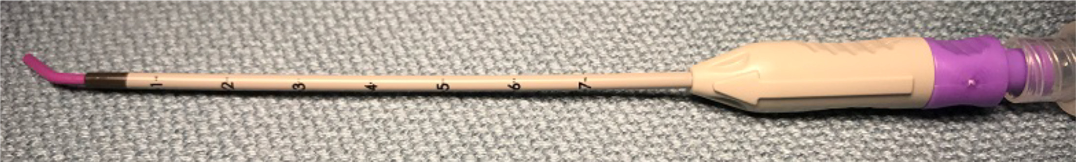 SphenoCath (Dolor Technologies, Clarefield, Utah).