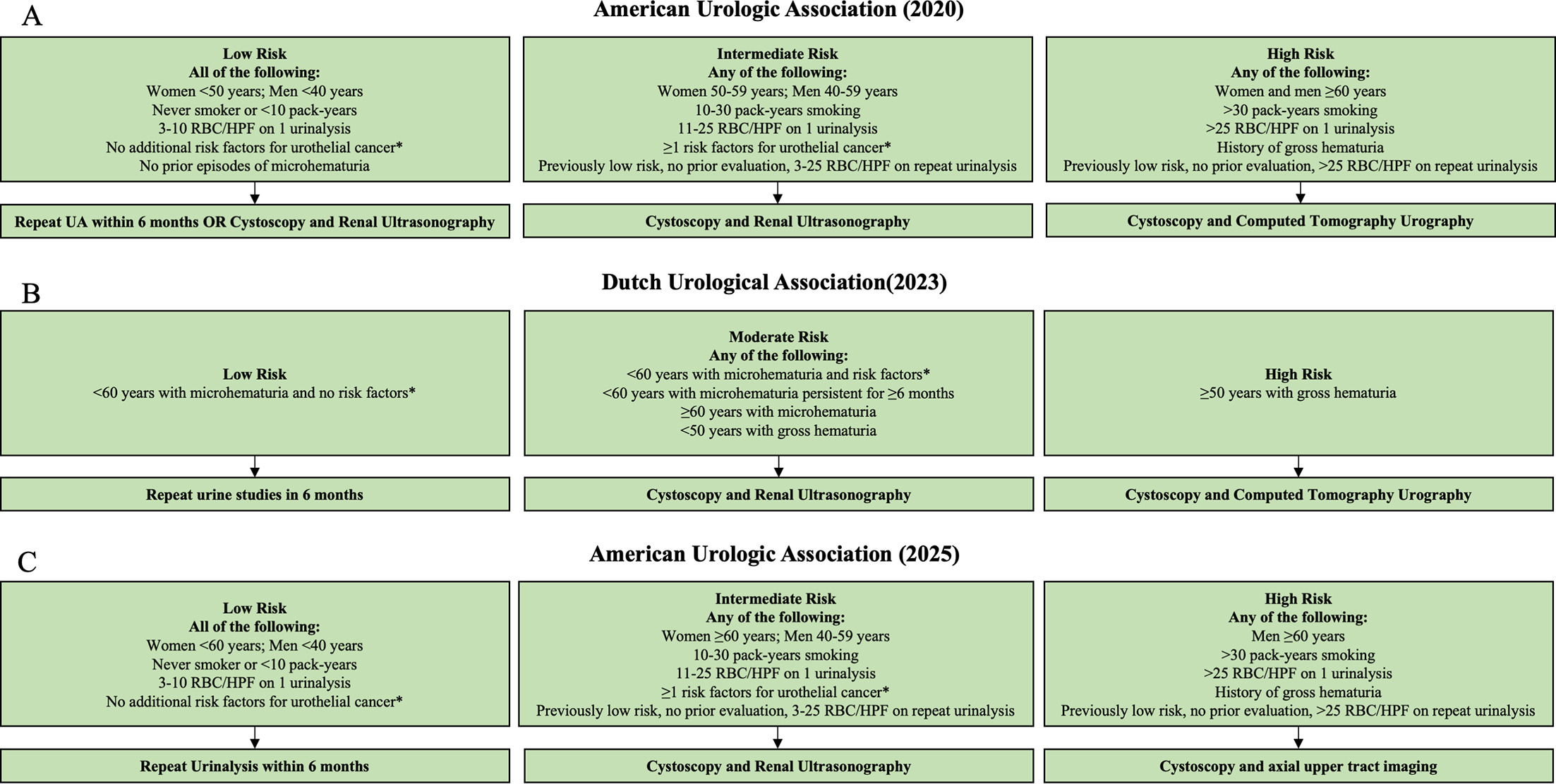 Summary of the initial diagnostic steps recommended by the (A) 2020 American Urologic Association (AUA), (B) 2023 Dutch Association of Urology, and (C) 2025 AUA guidelines for the evaluation of hematuria.