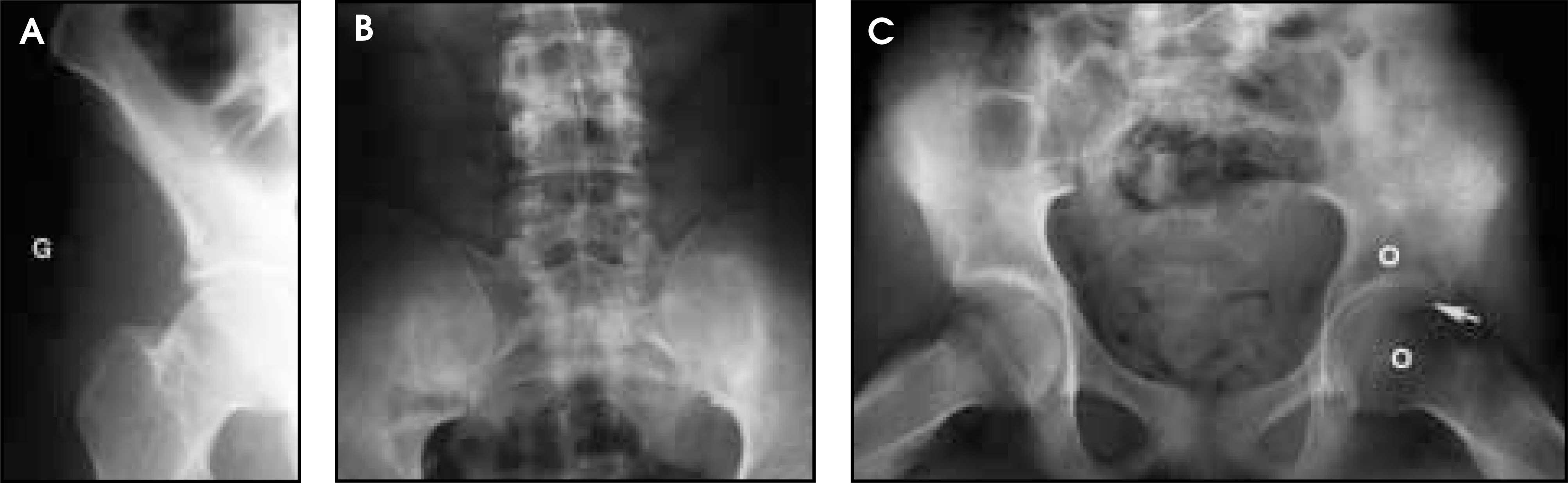 FIGURE 4.