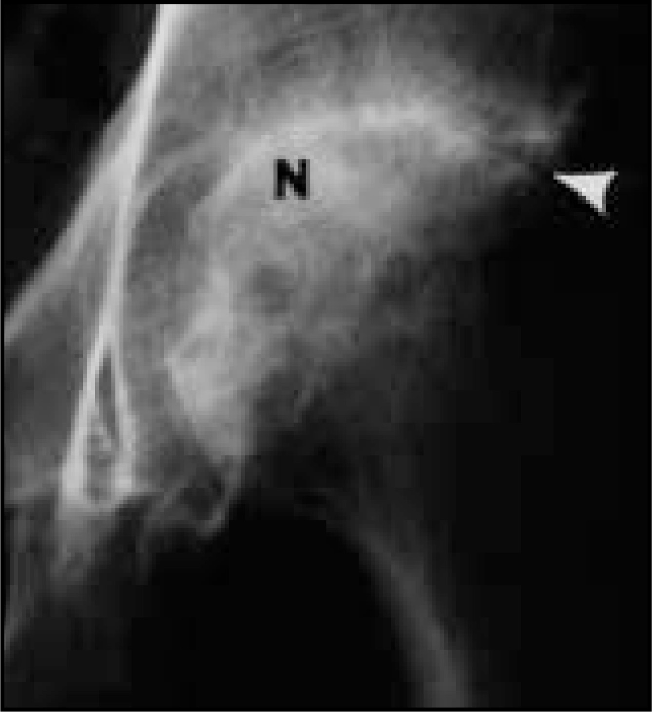 FIGURE 7.