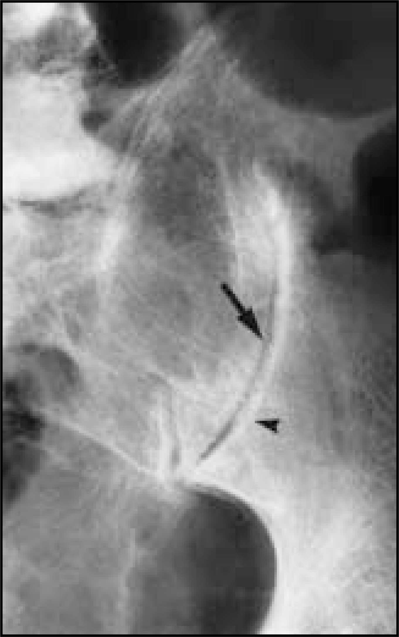 FIGURE 8.