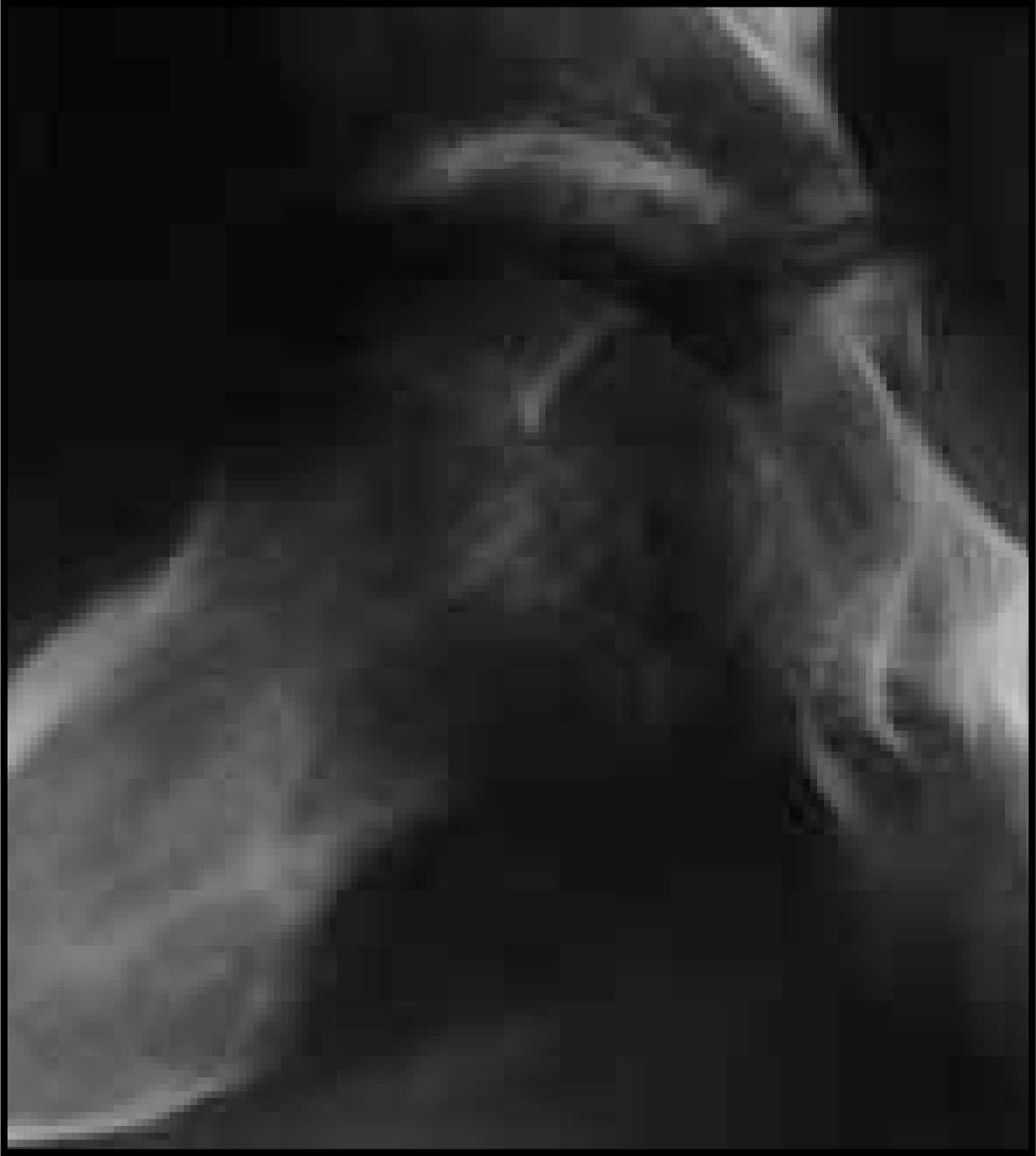 FIGURE 10.
