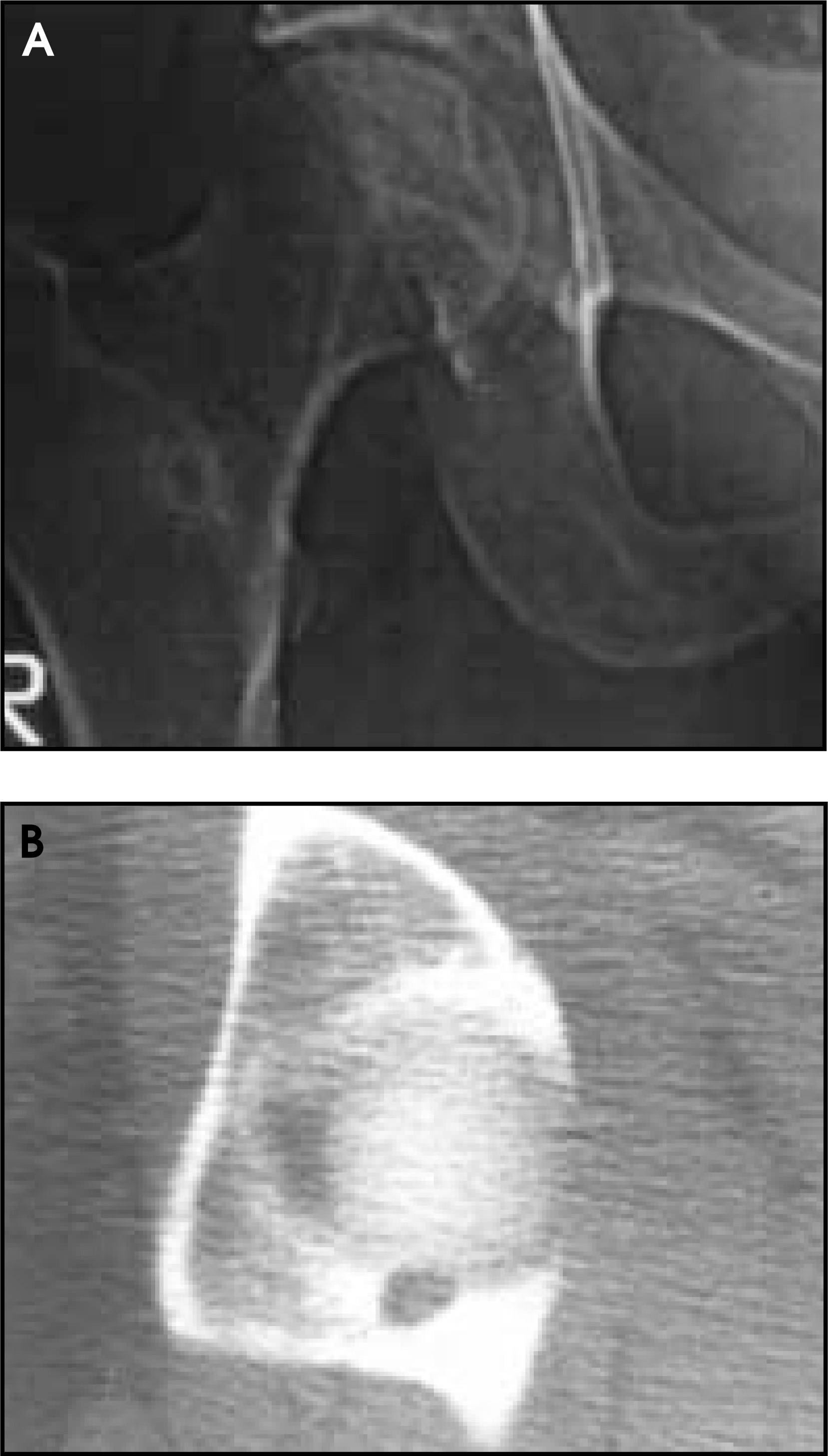 FIGURE 12.