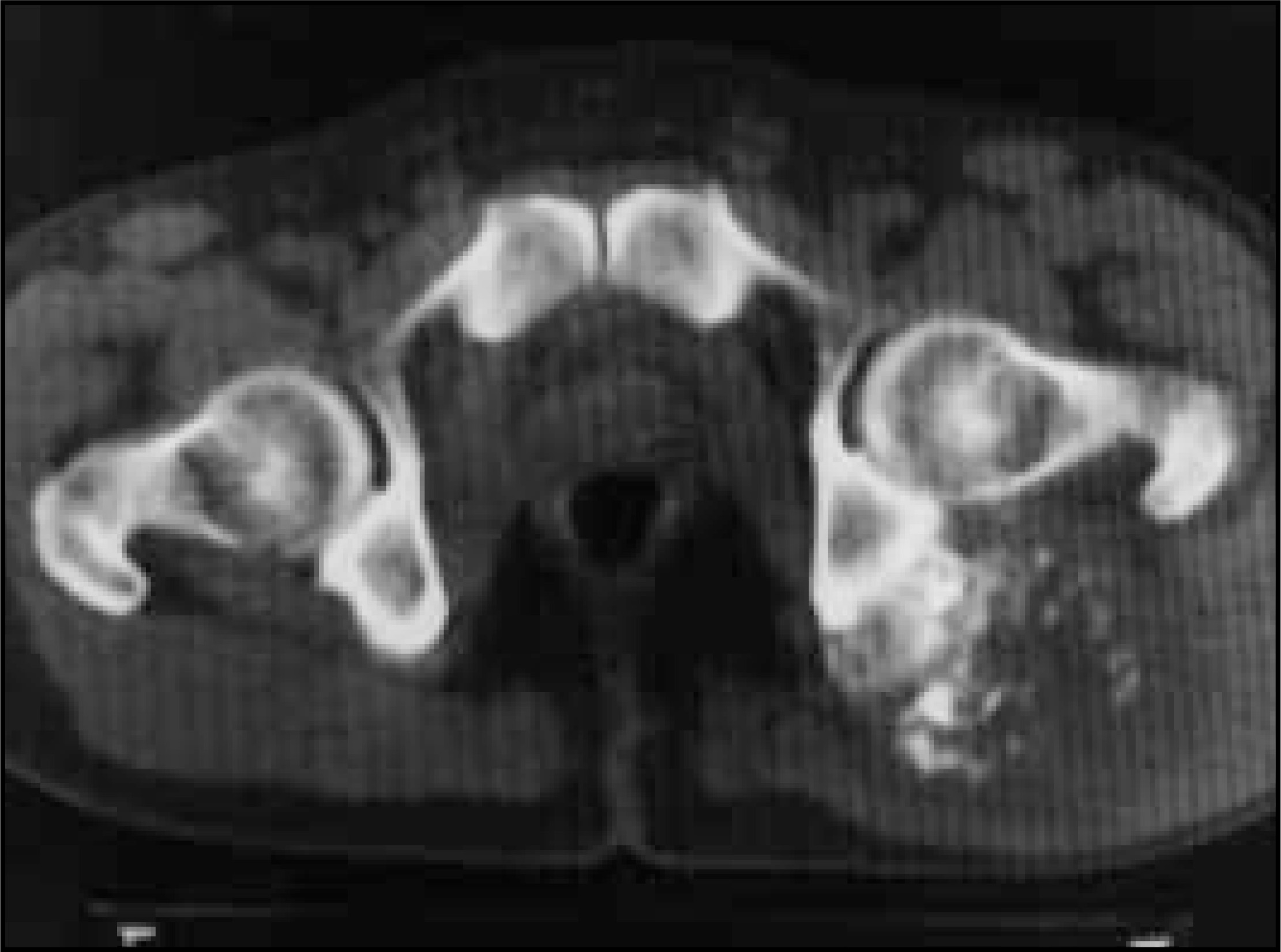 FIGURE 13.