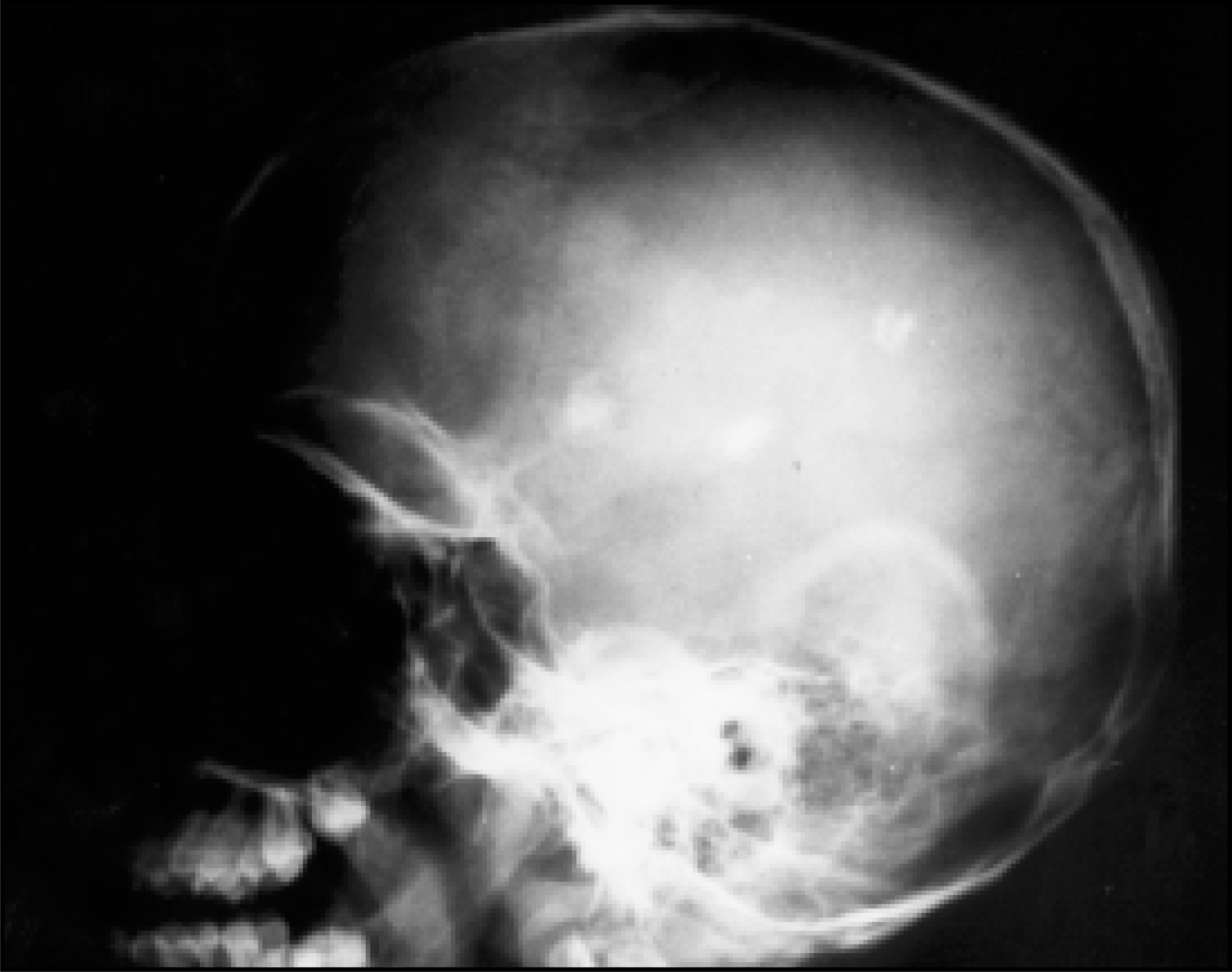 FIGURE 1.