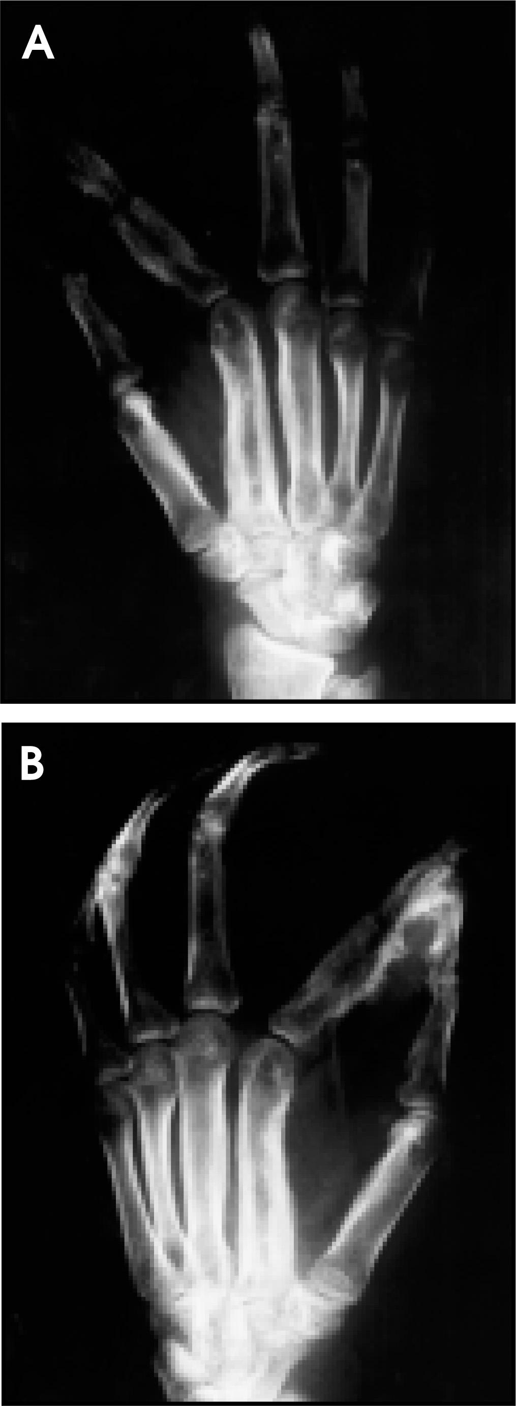FIGURE 3.