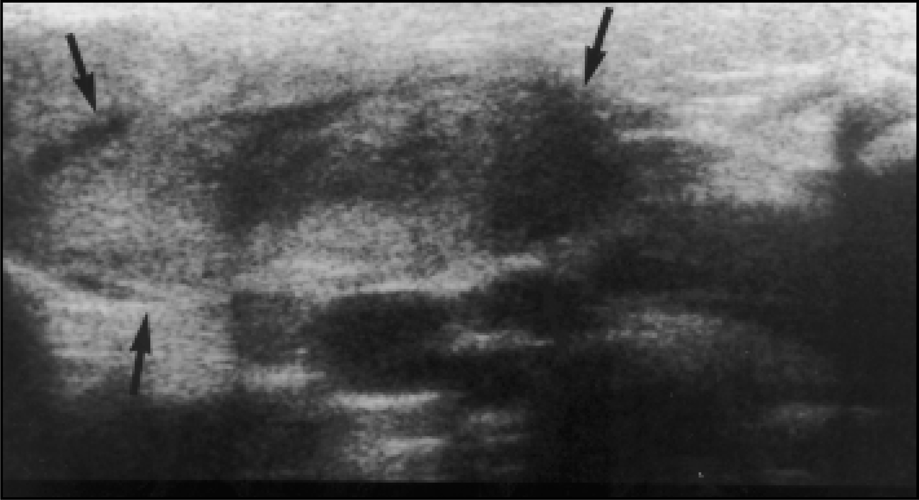 FIGURE 9.