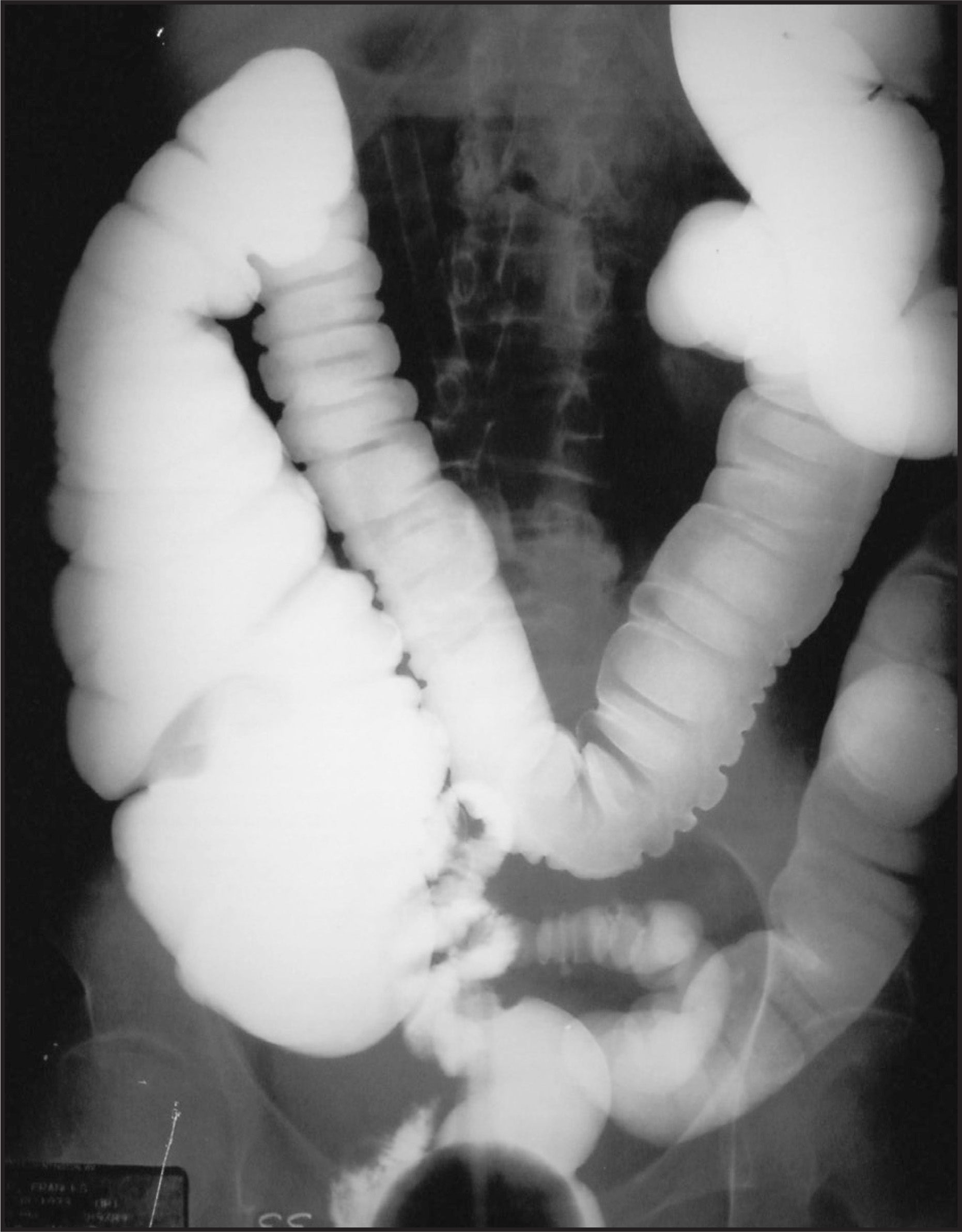 FIGURE 1.