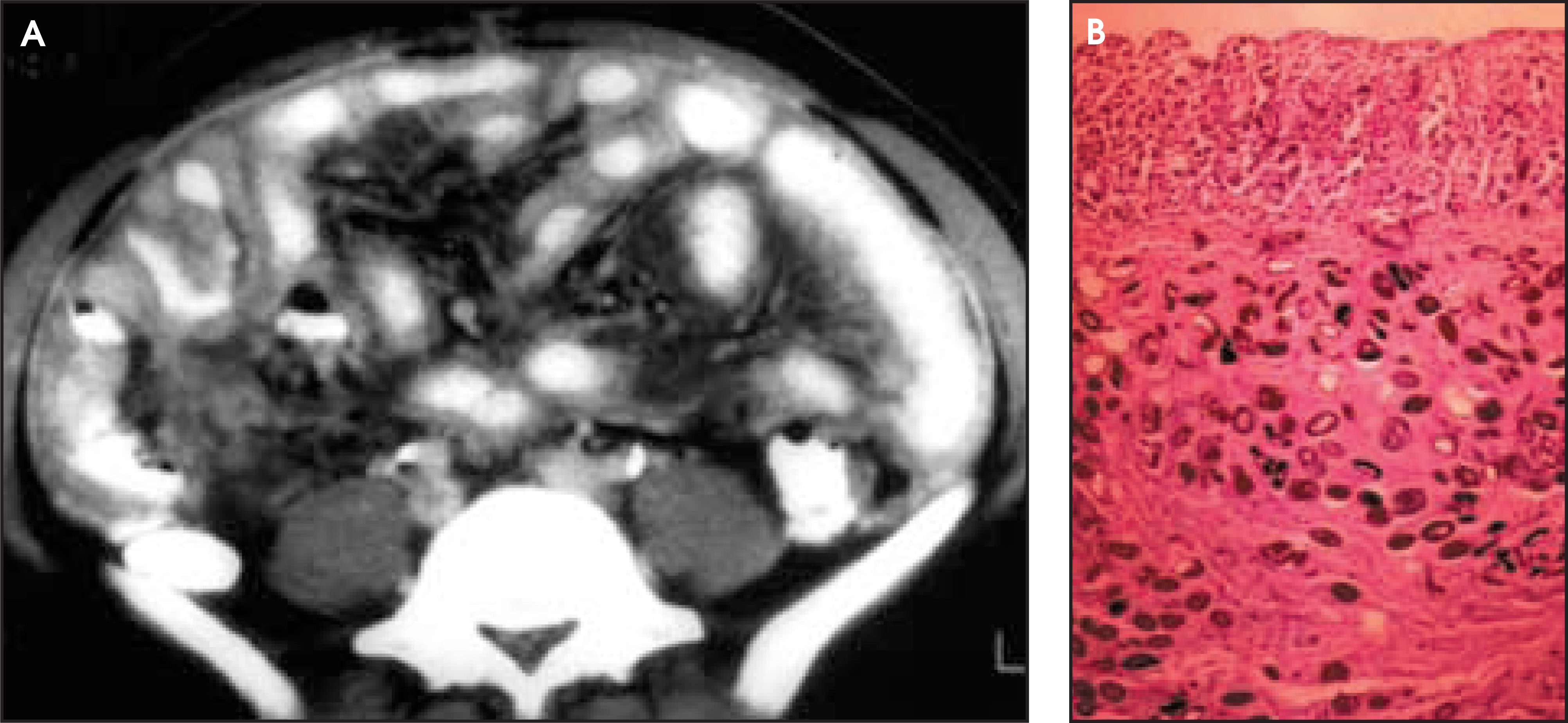 FIGURE 12.