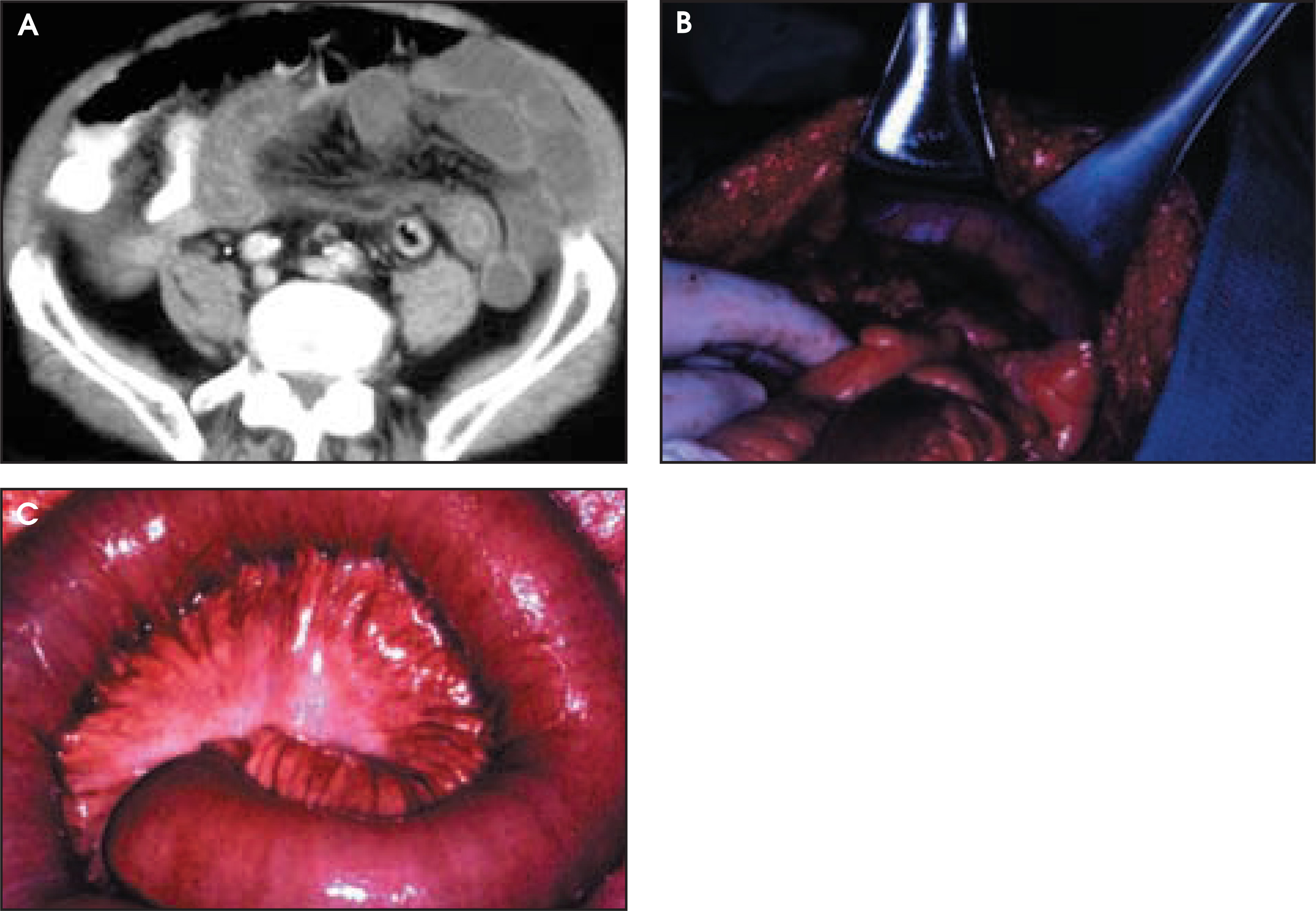 FIGURE 15.