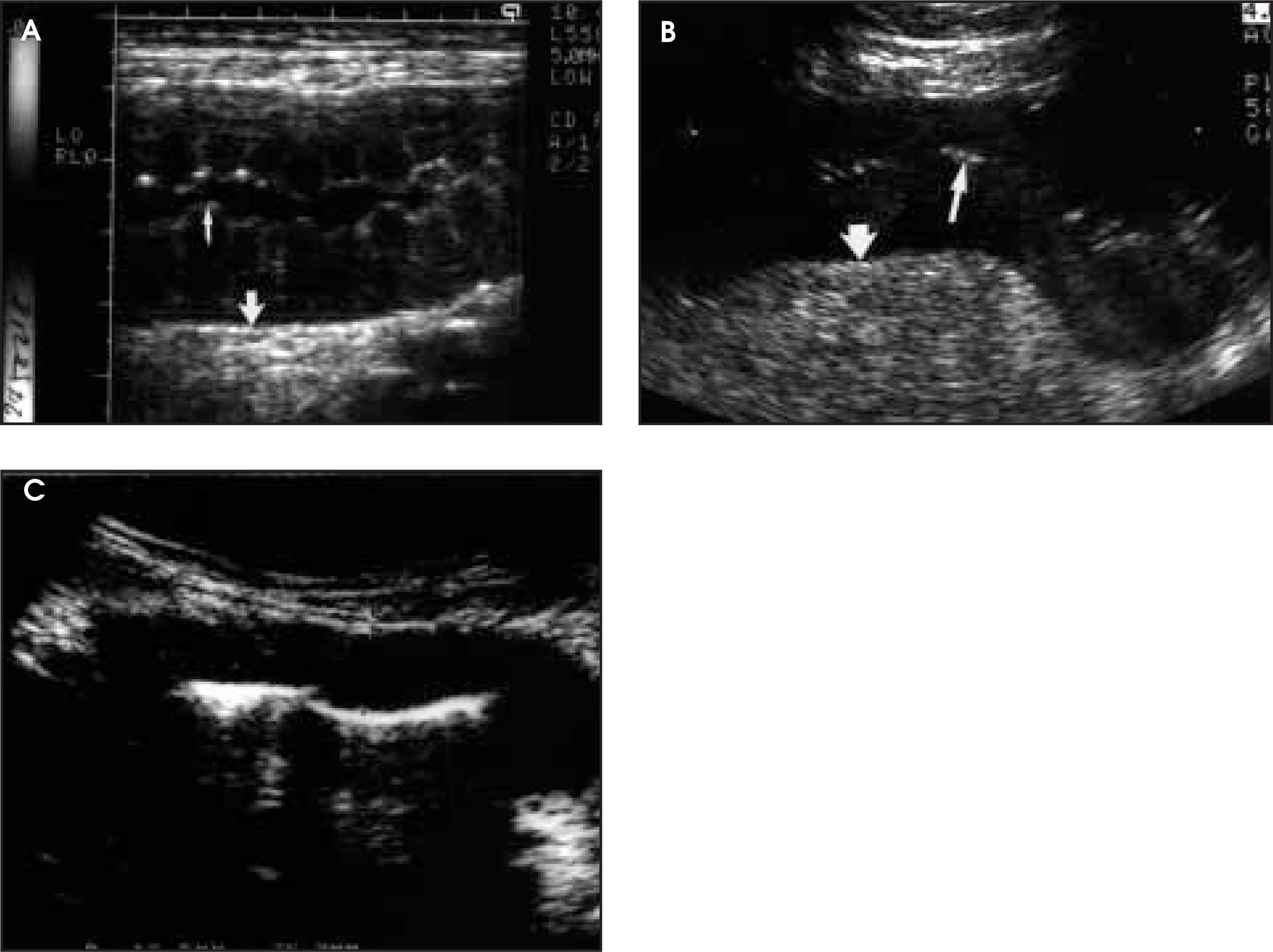 FIGURE 21.