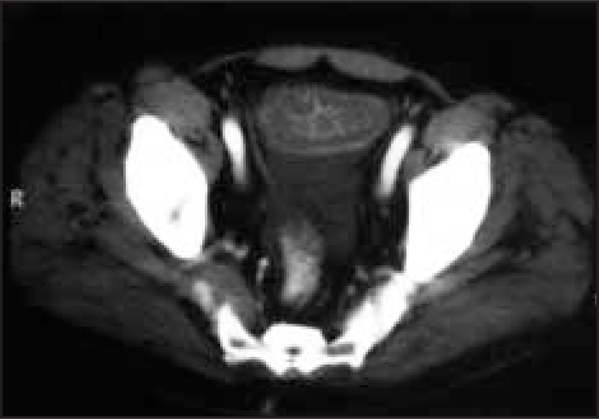 FIGURE 24.