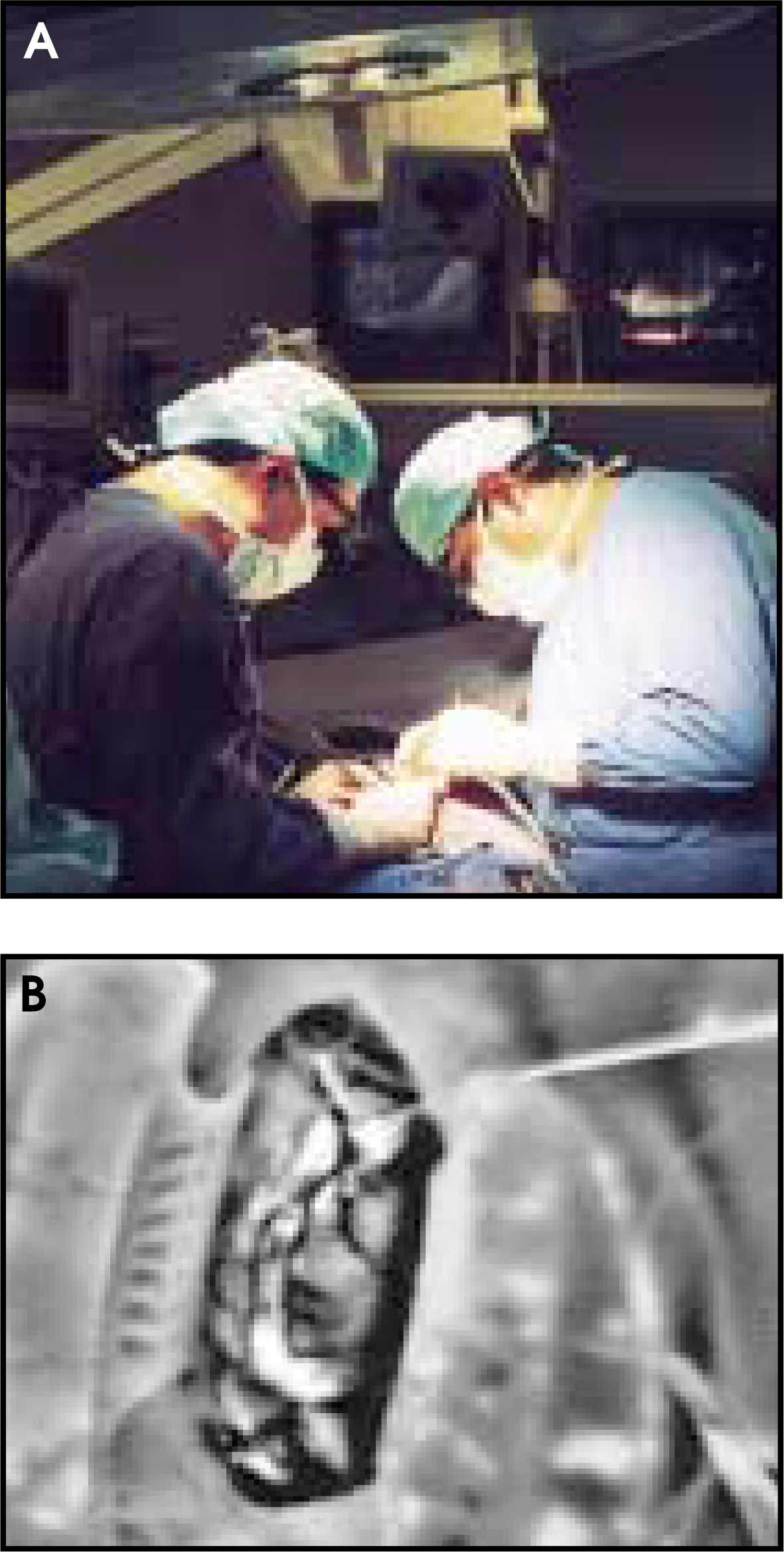 FIGURE 1.