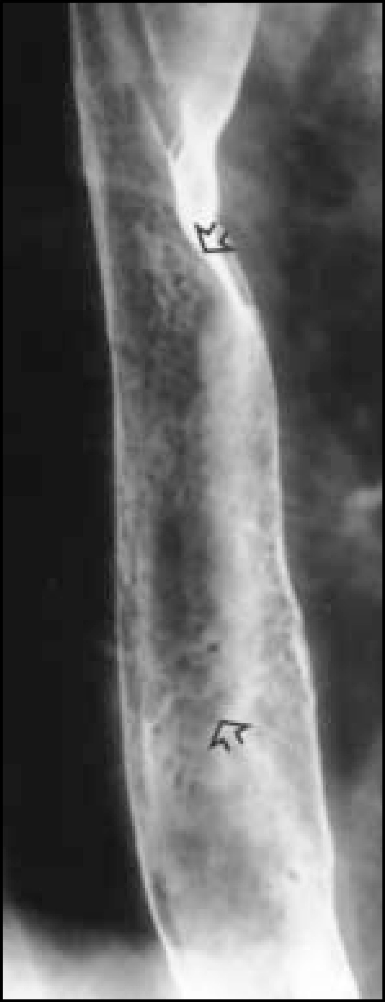 FIGURE 7.