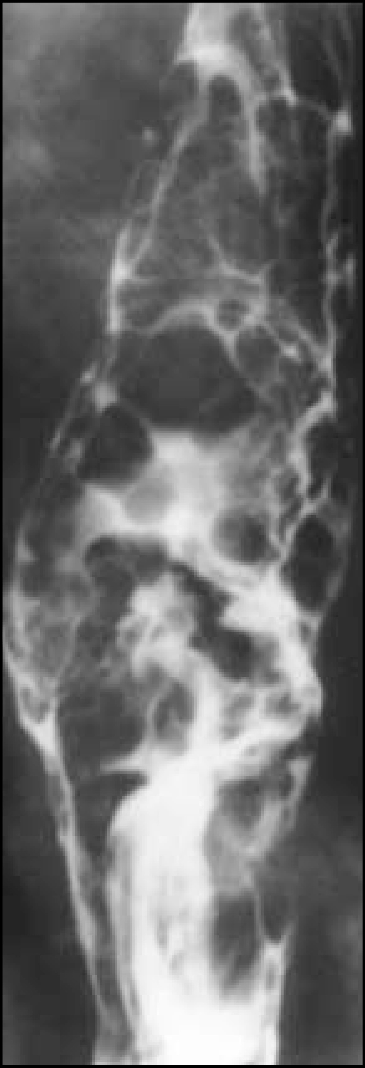 FIGURE 10.