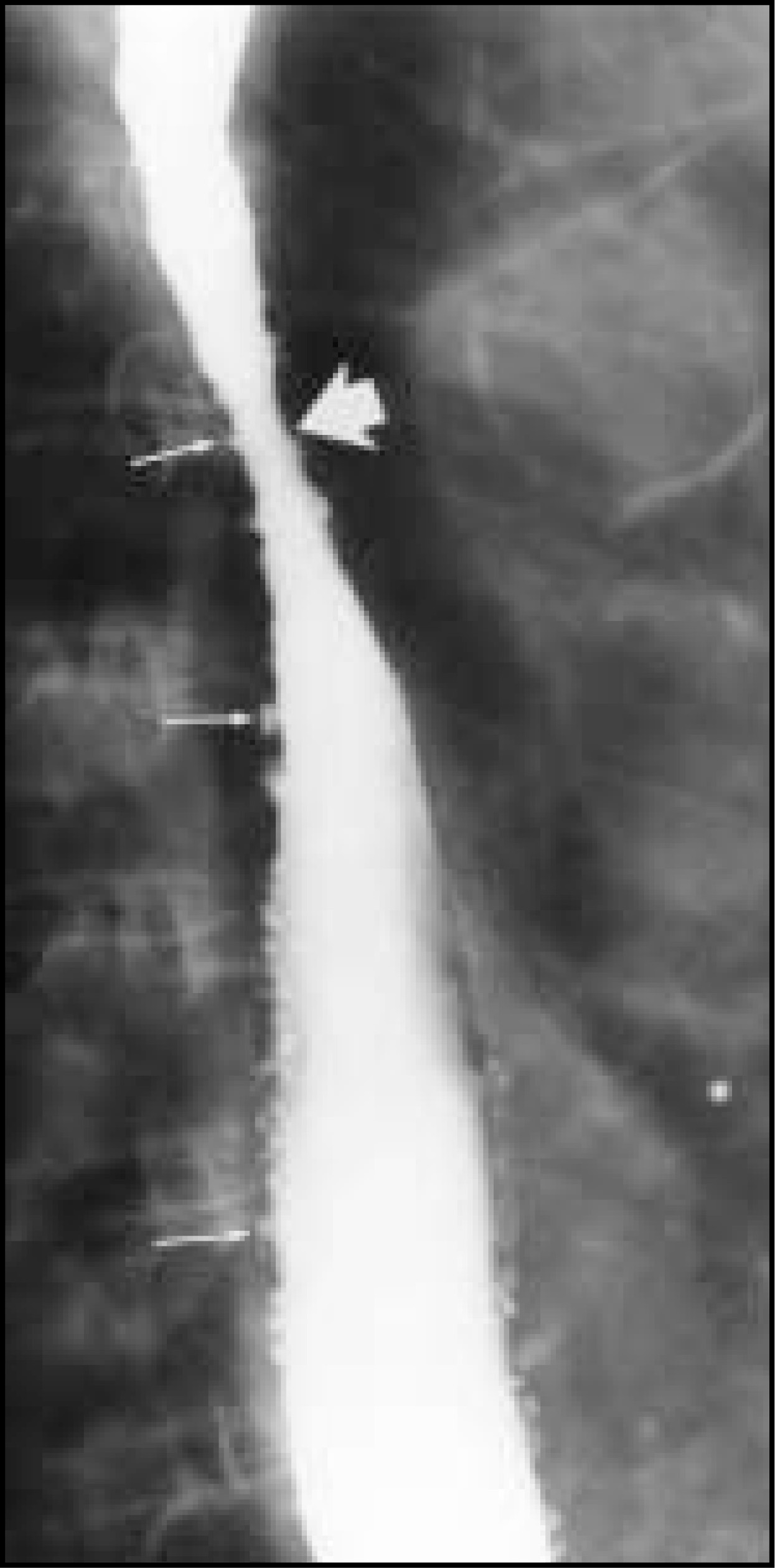 FIGURE 16.