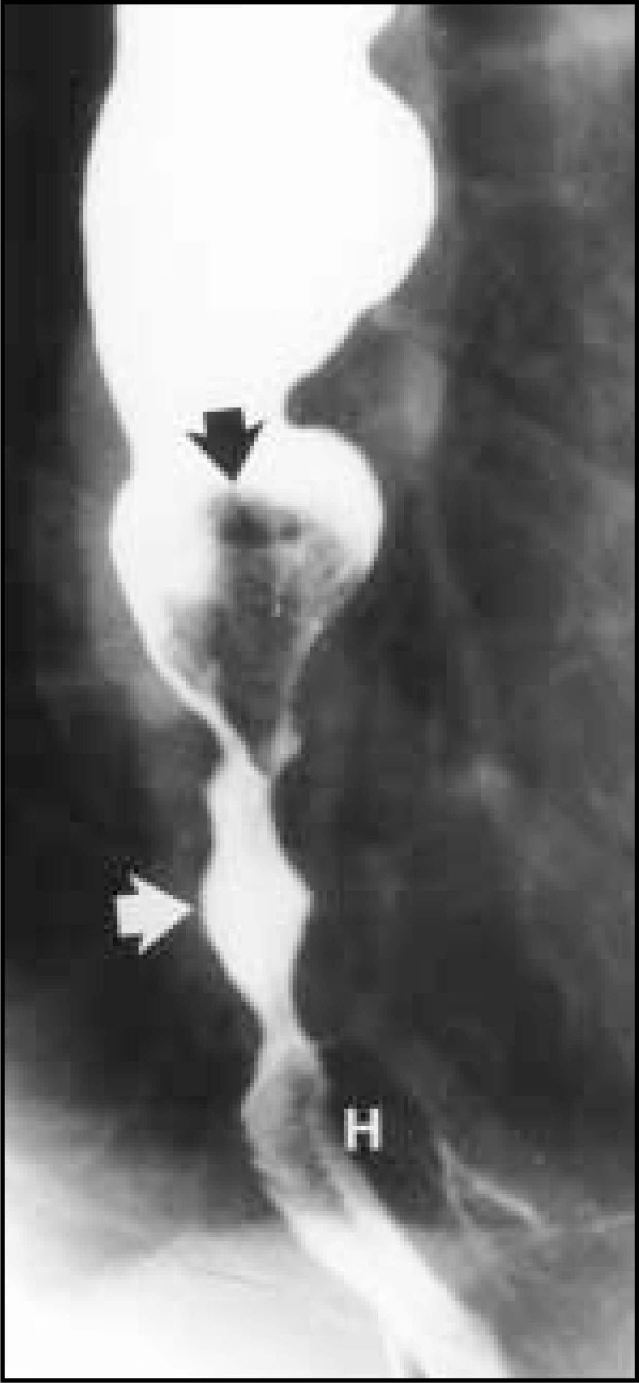 FIGURE 19.