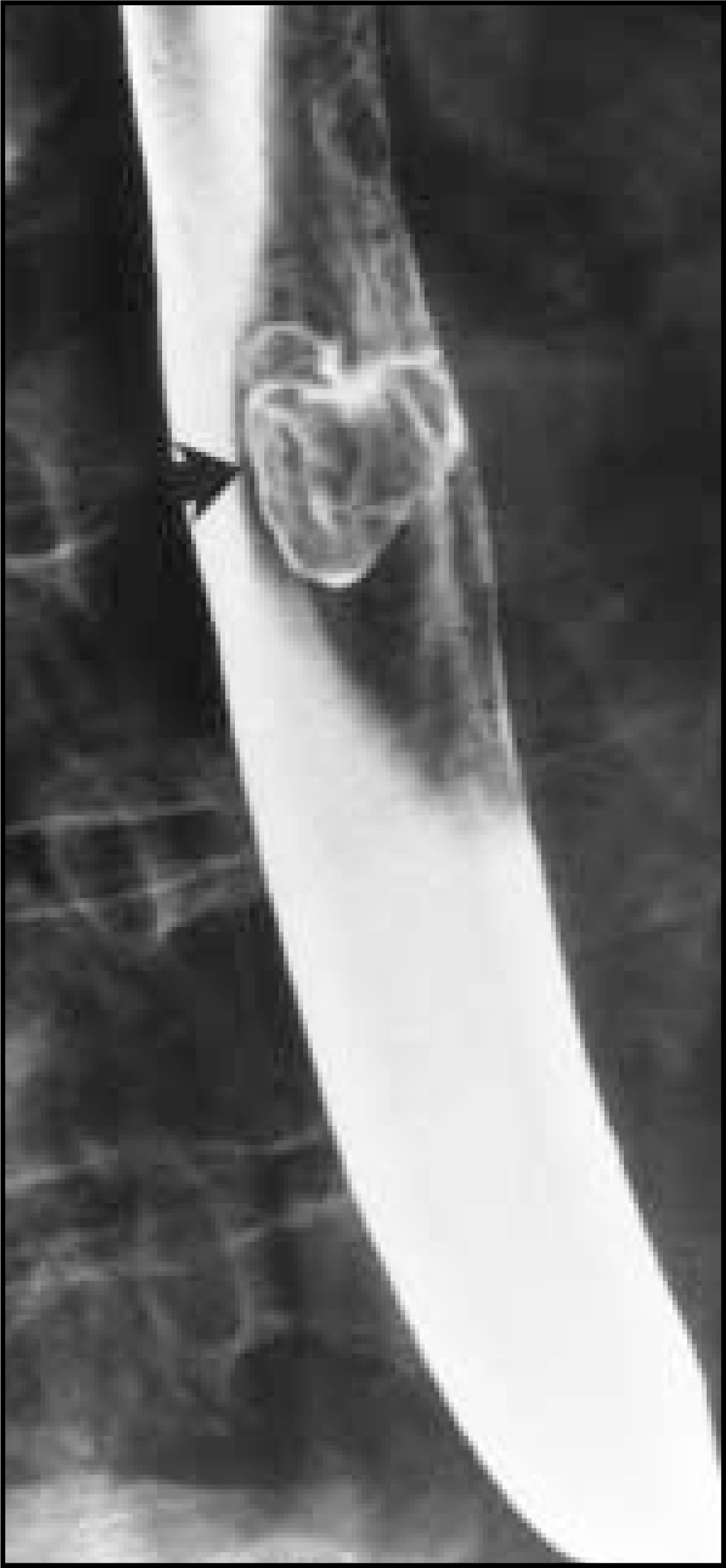FIGURE 20.
