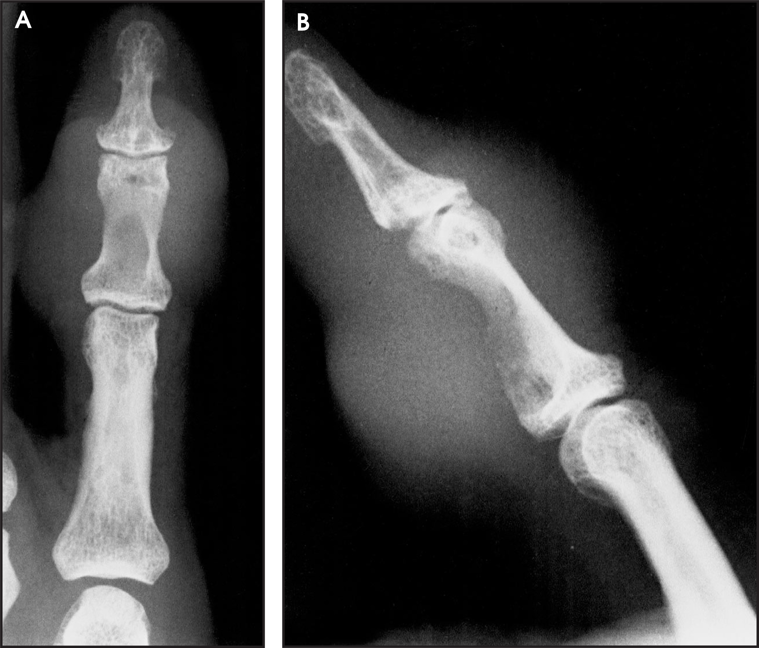 FIGURE 1.