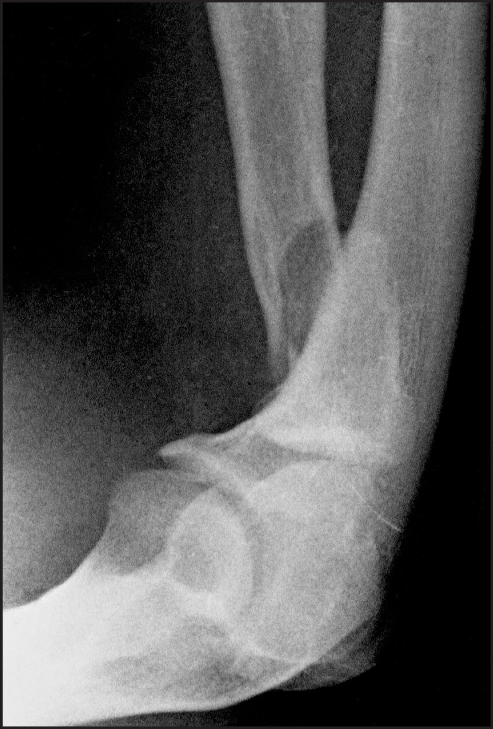 FIGURE 8.