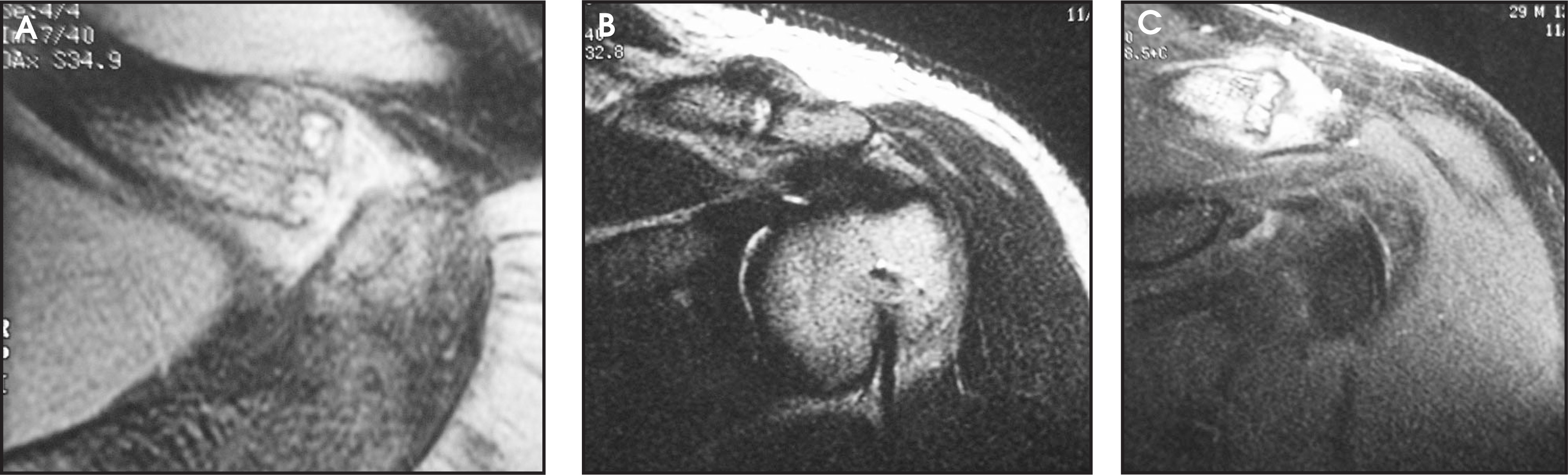 FIGURE 12.