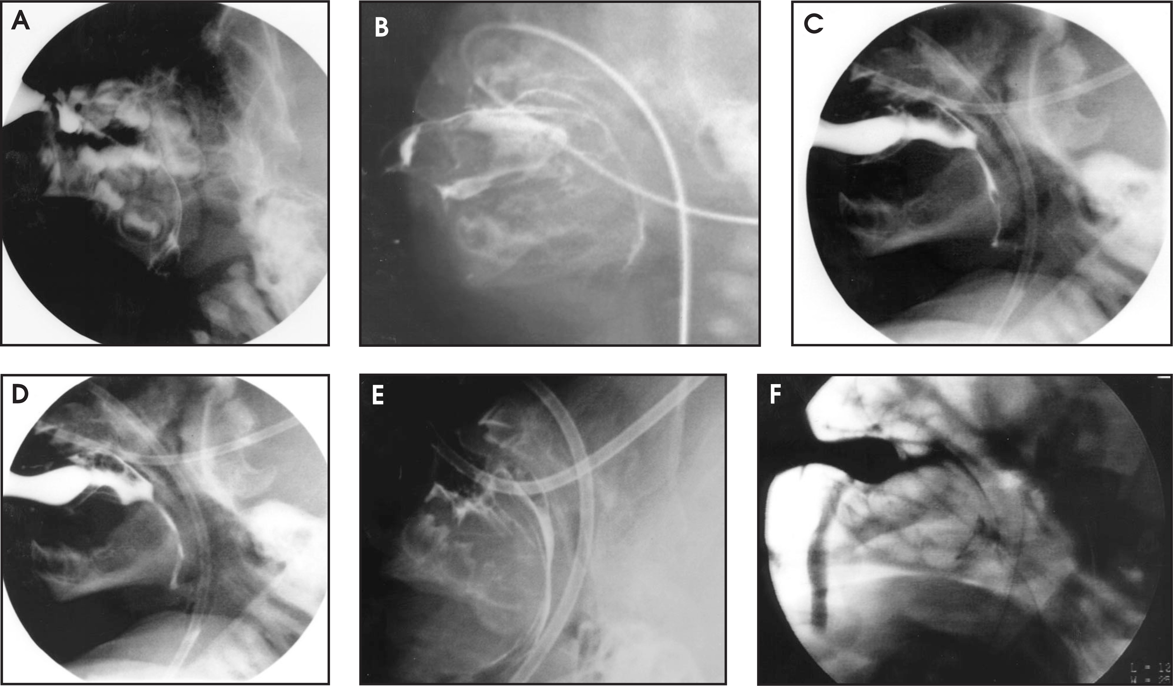 FIGURE 3.