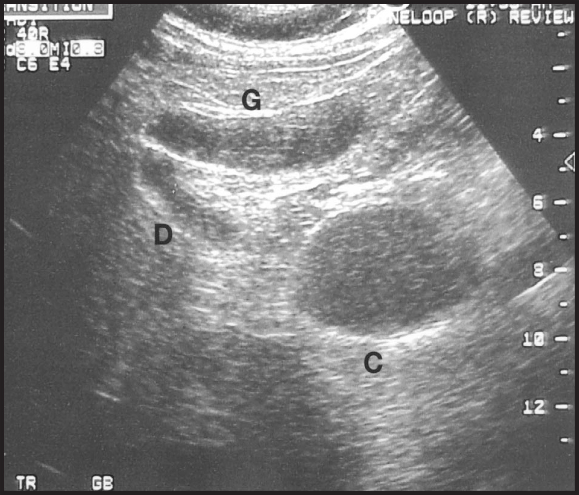 FIGURE 1.