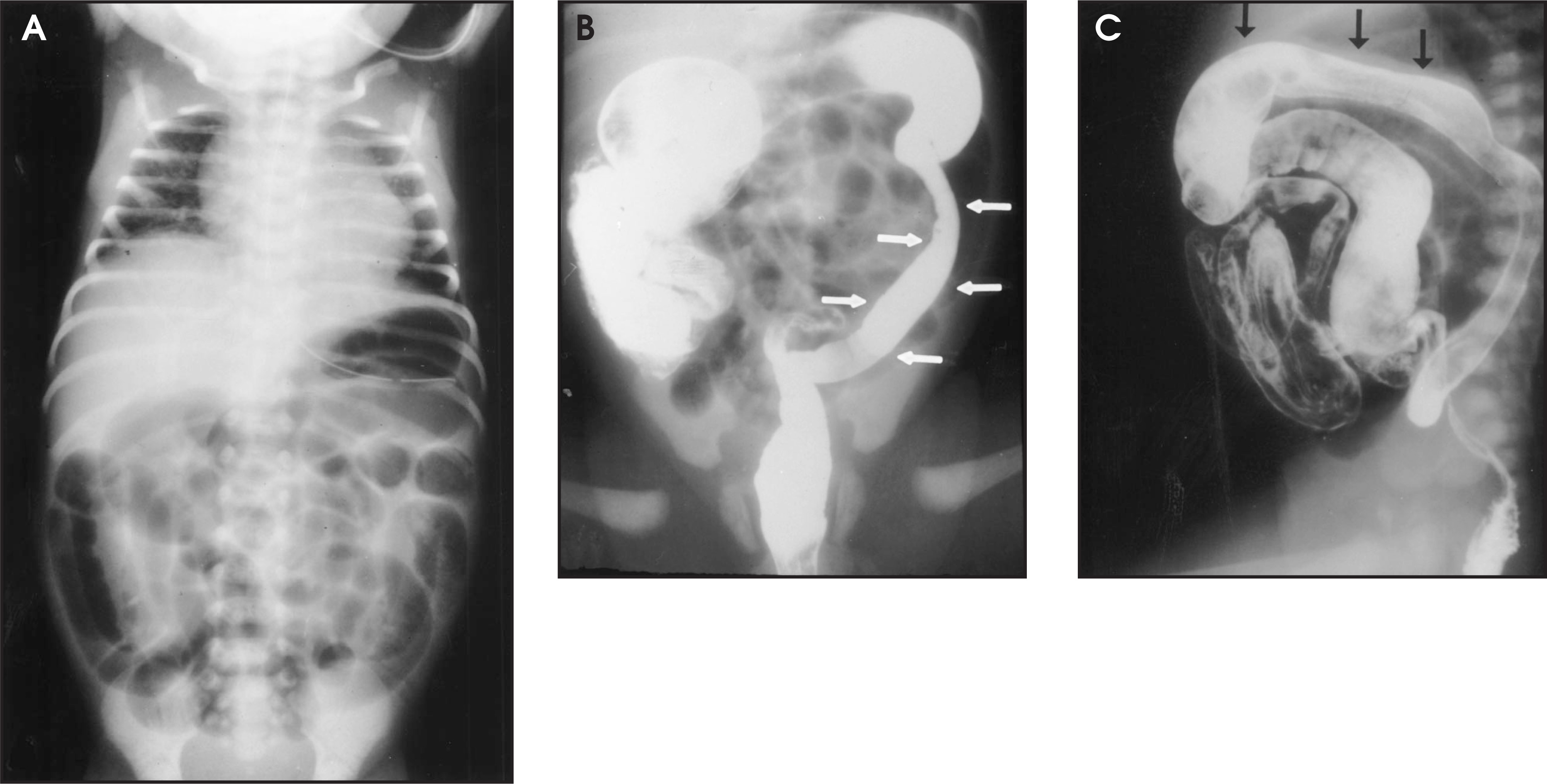 FIGURE 3.