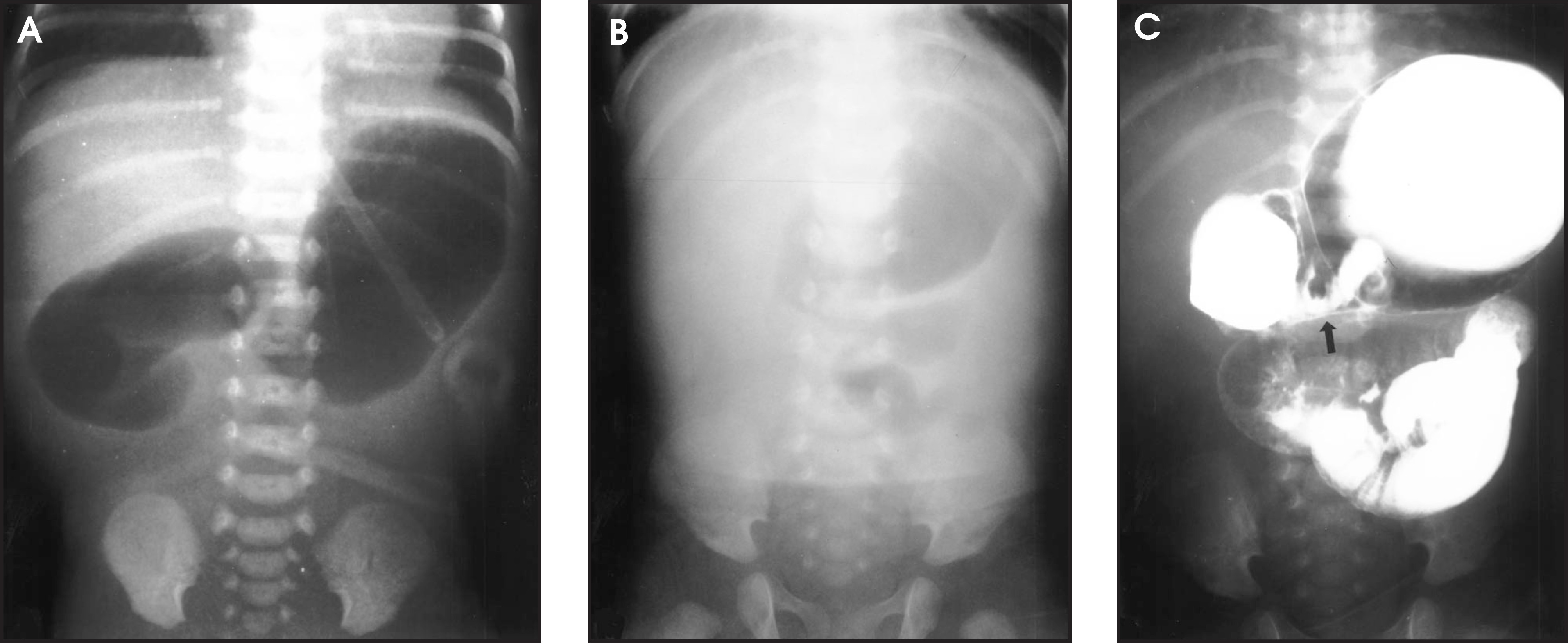 FIGURE 7.