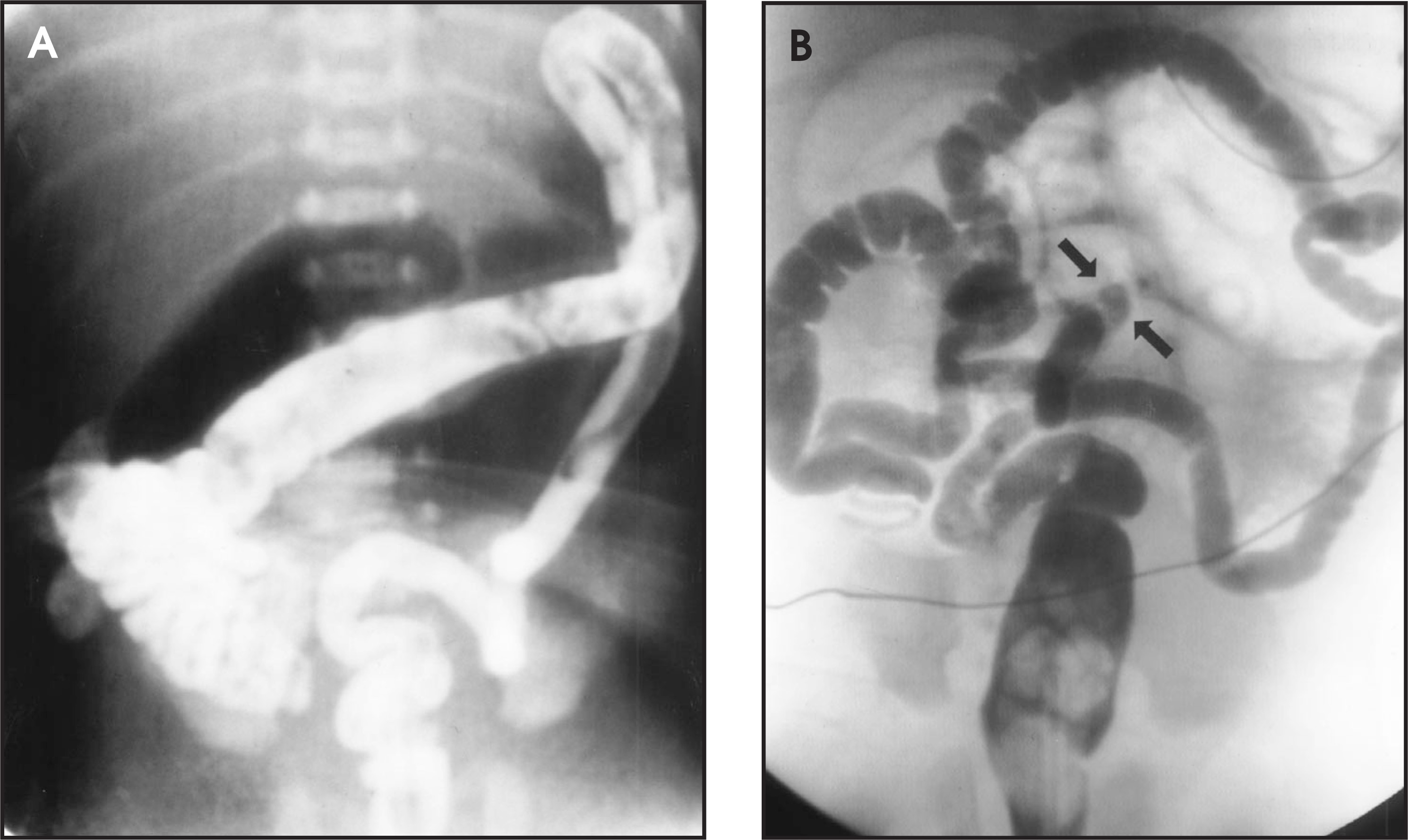 FIGURE 10.