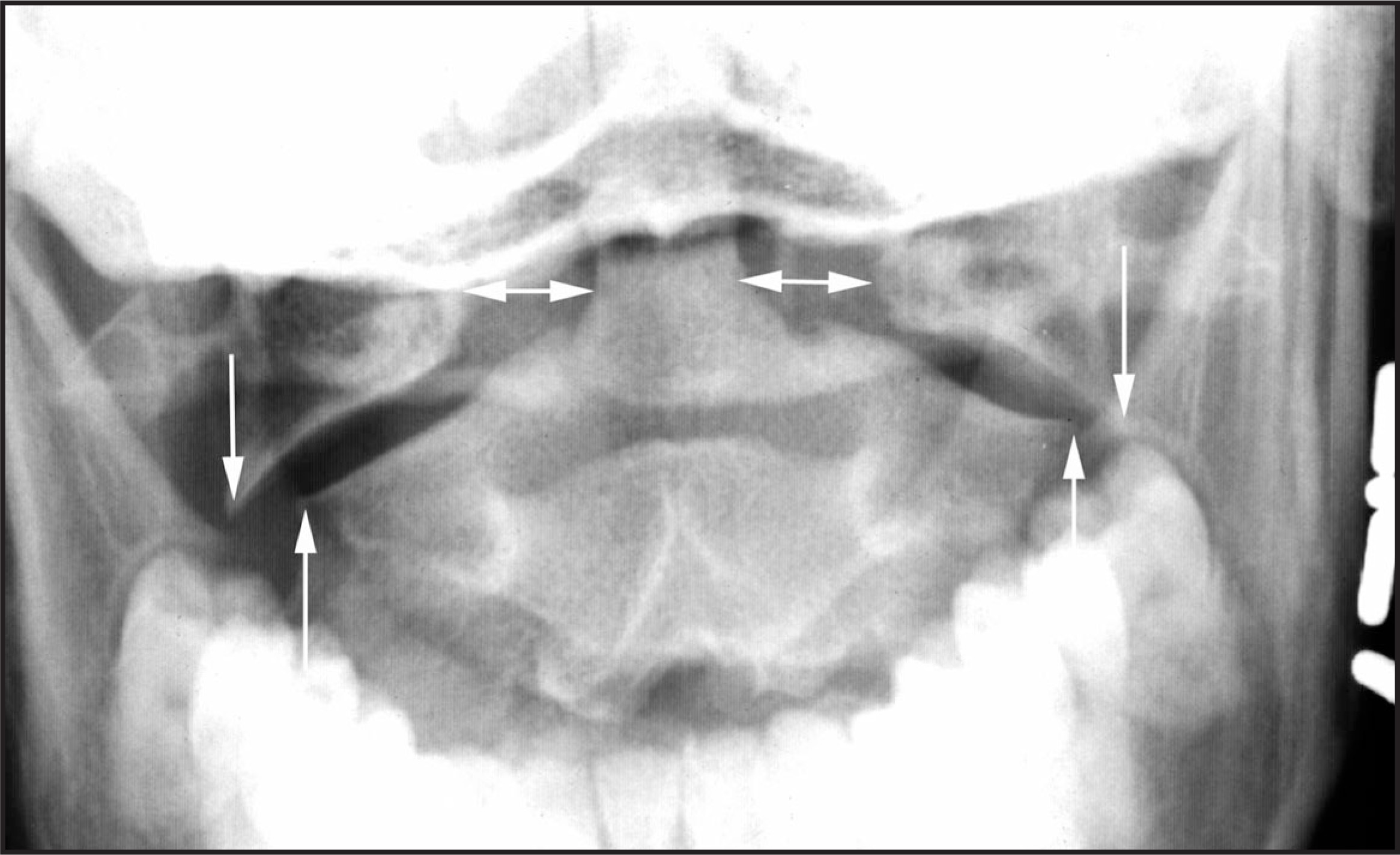 FIGURE 9.