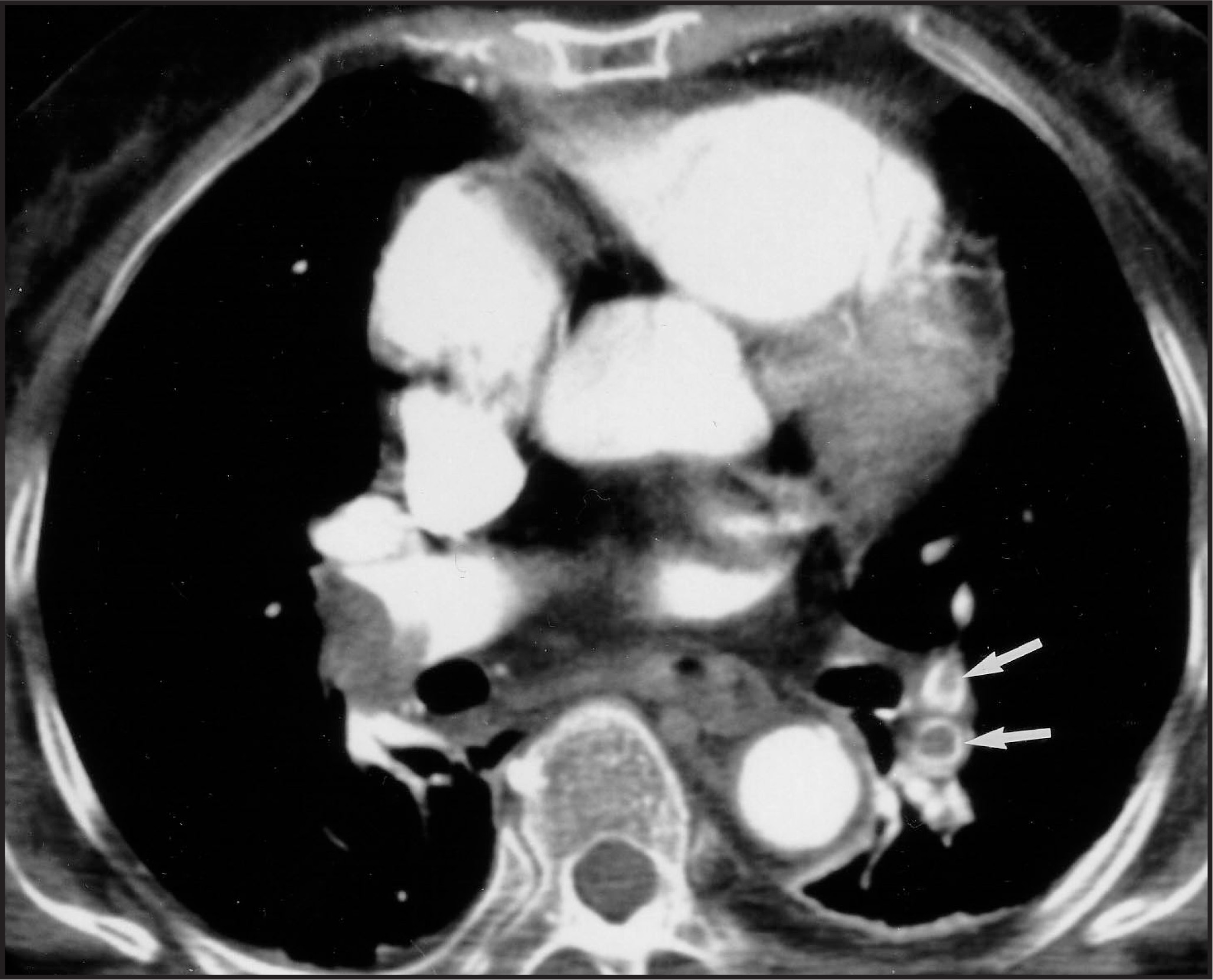 FIGURE 1.