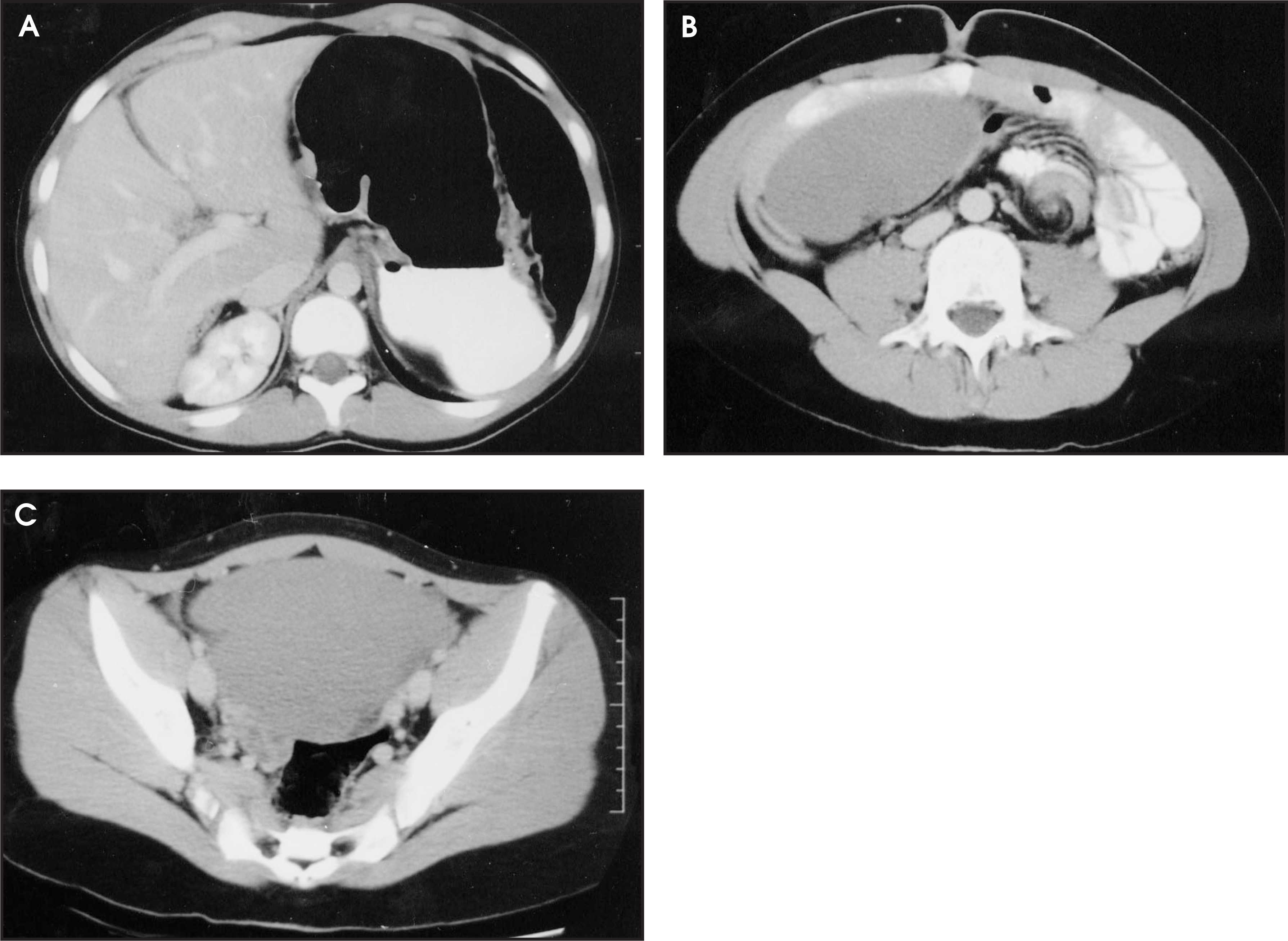 FIGURE 1.