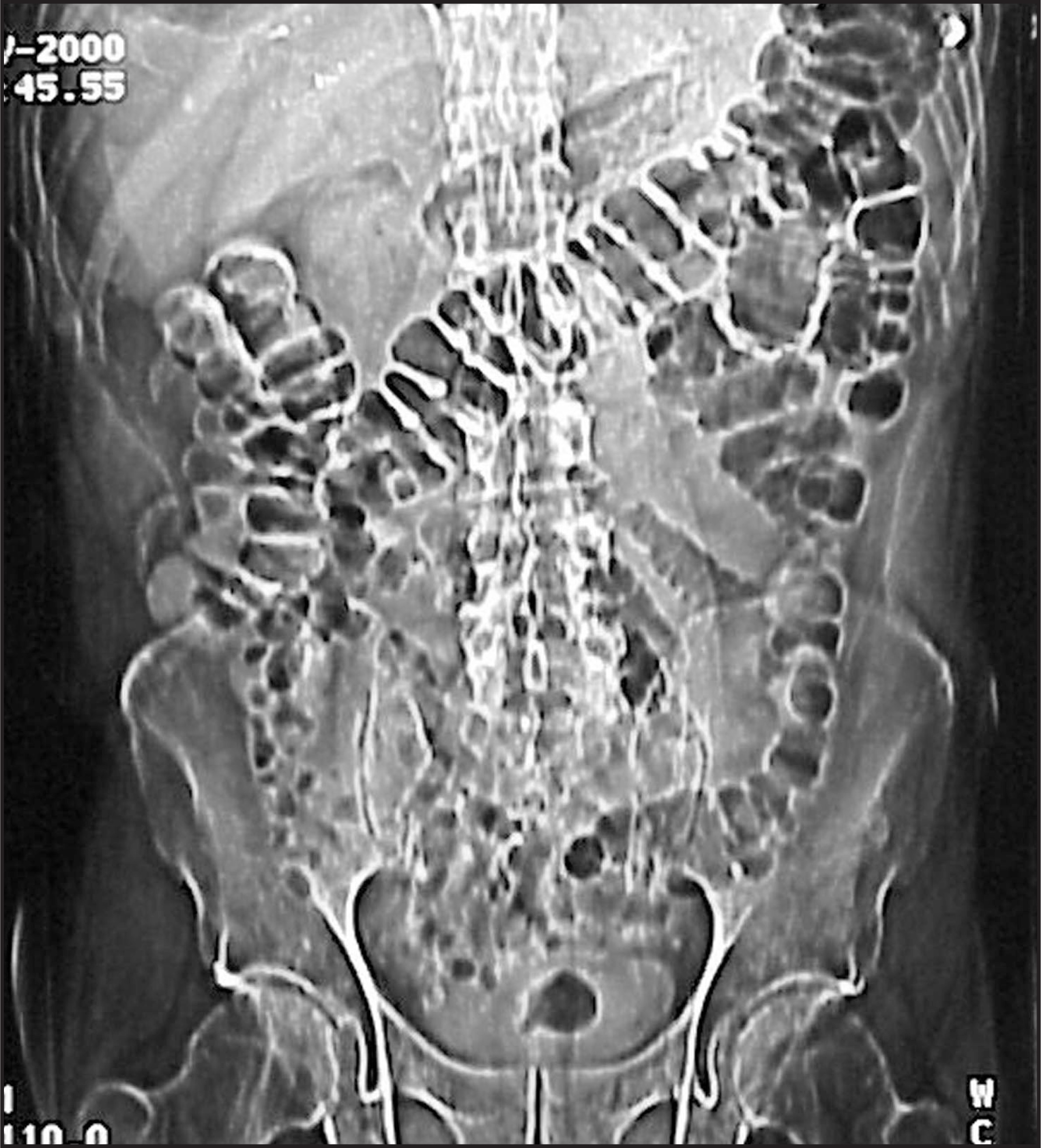 FIGURE 1.