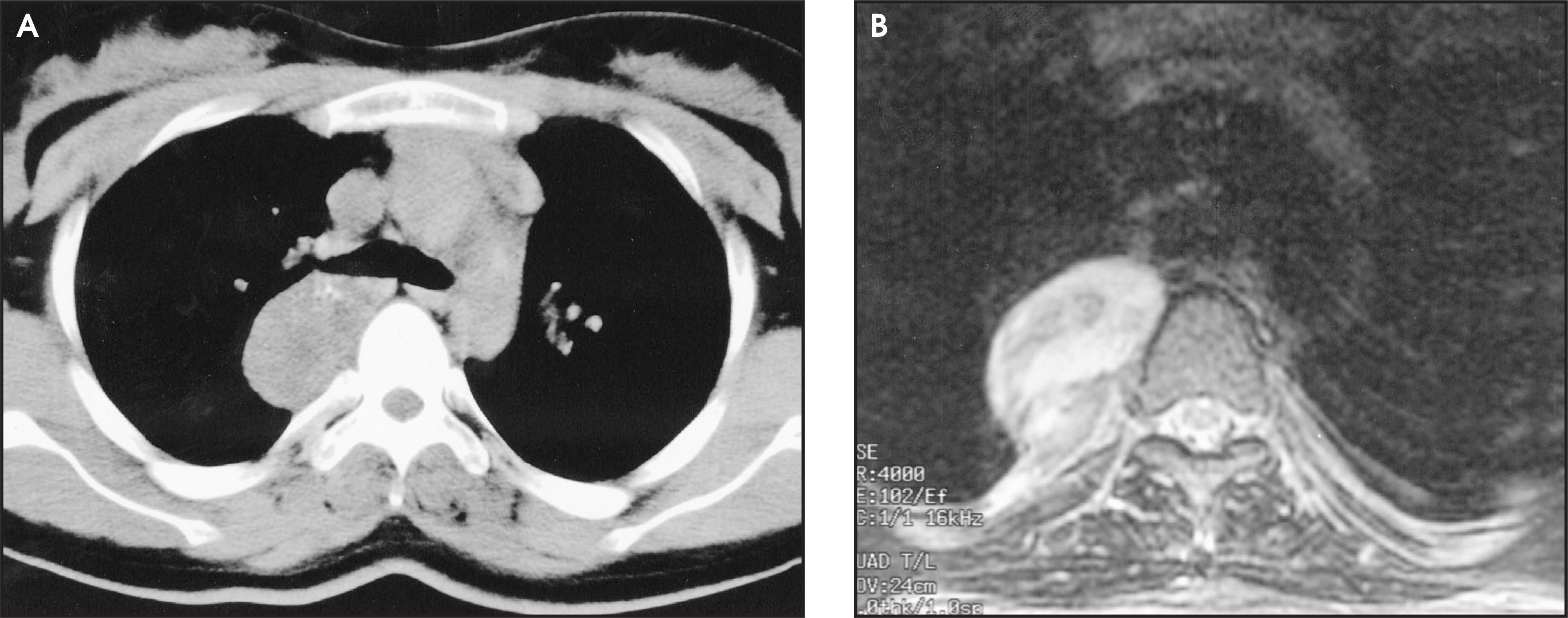 FIGURE 12.