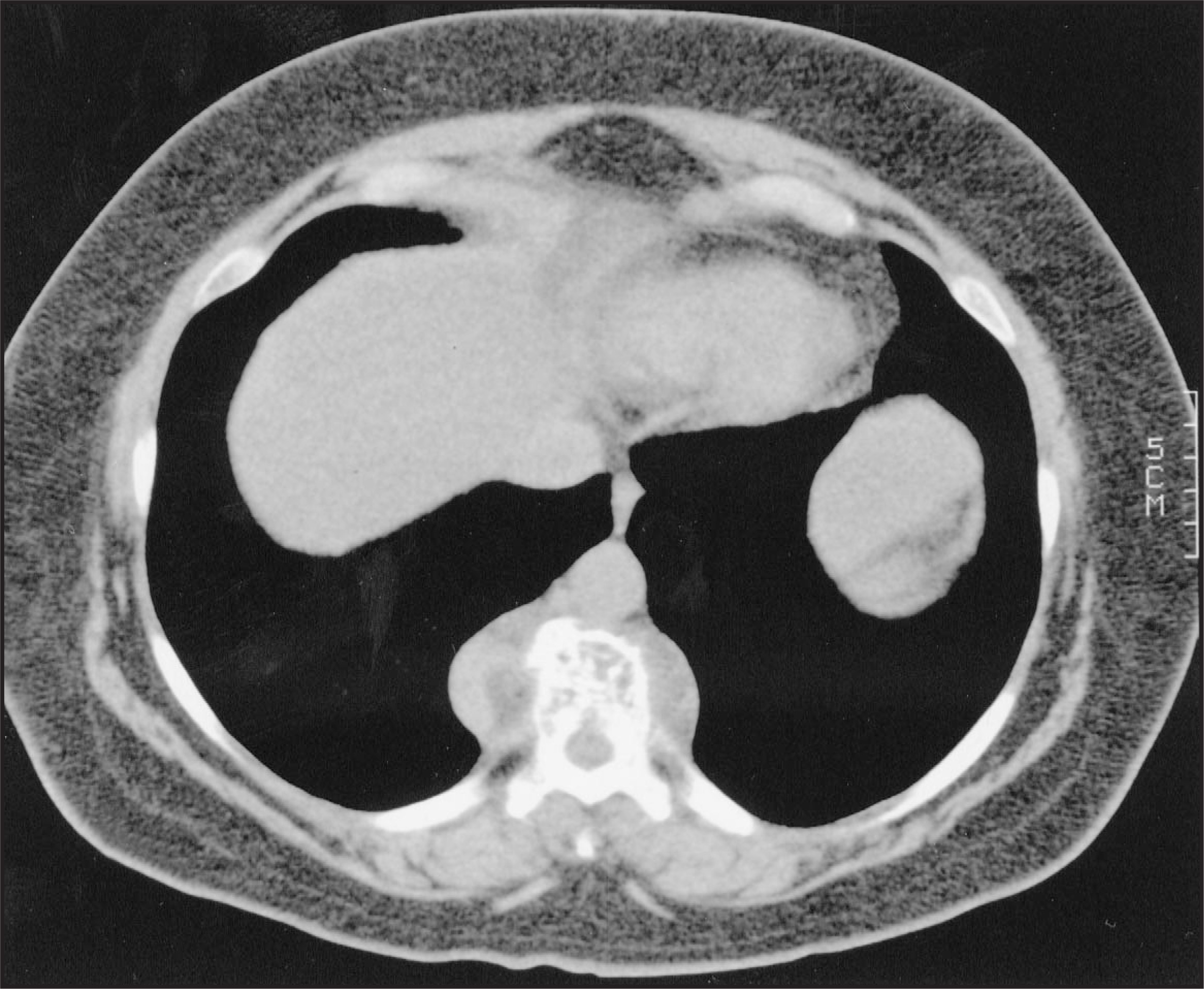 FIGURE 15.