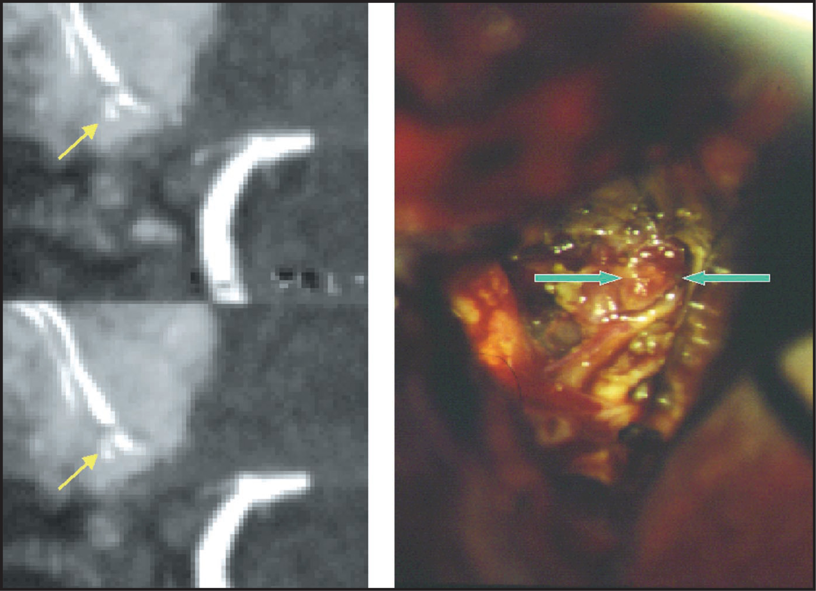 FIGURE 7.