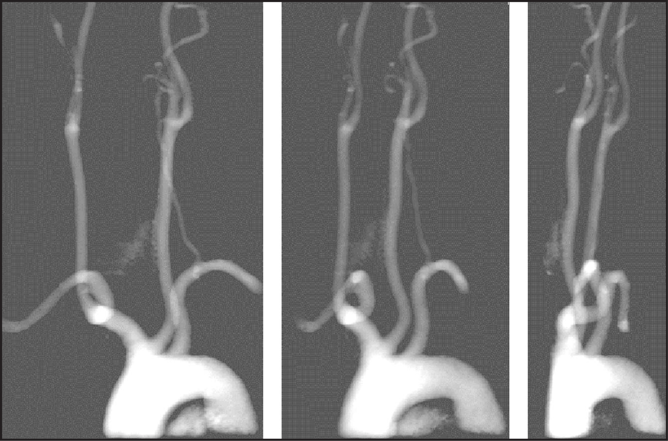 FIGURE 12.
