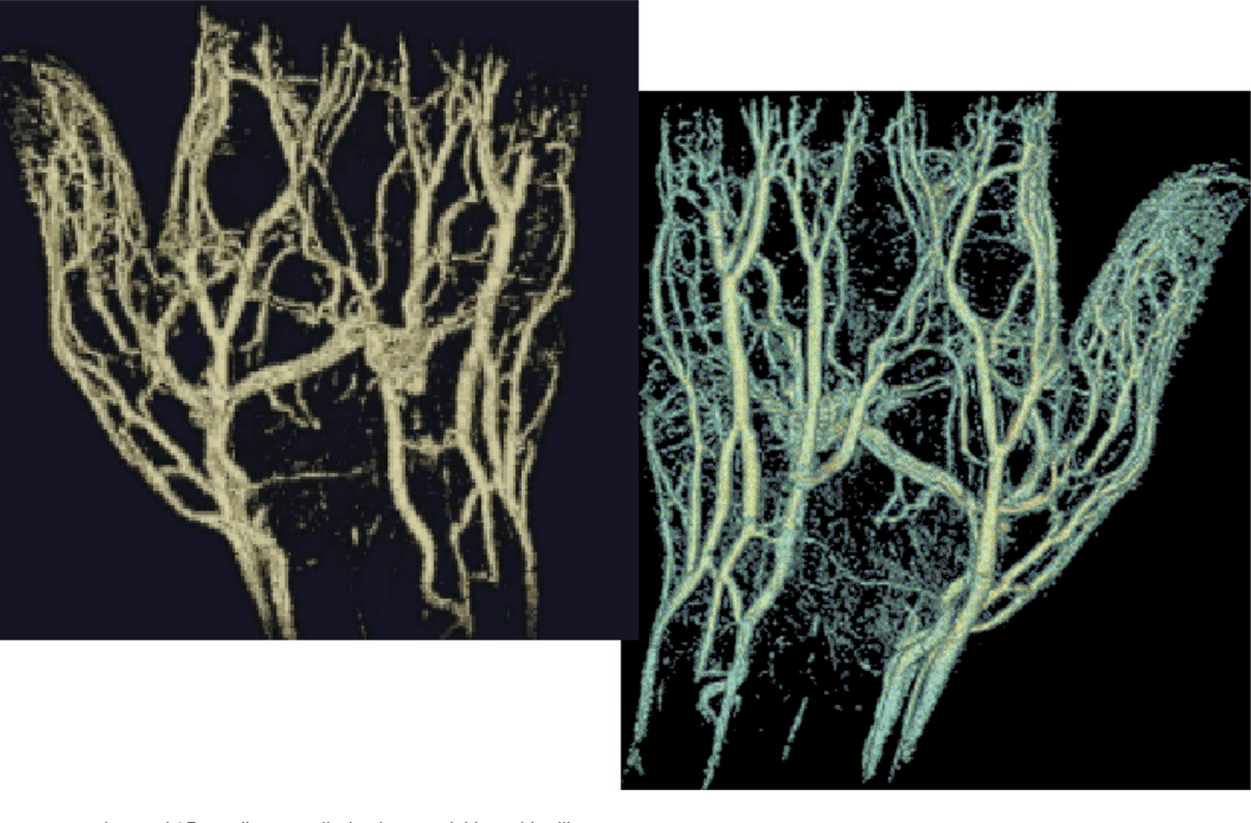 FIGURE 14.
