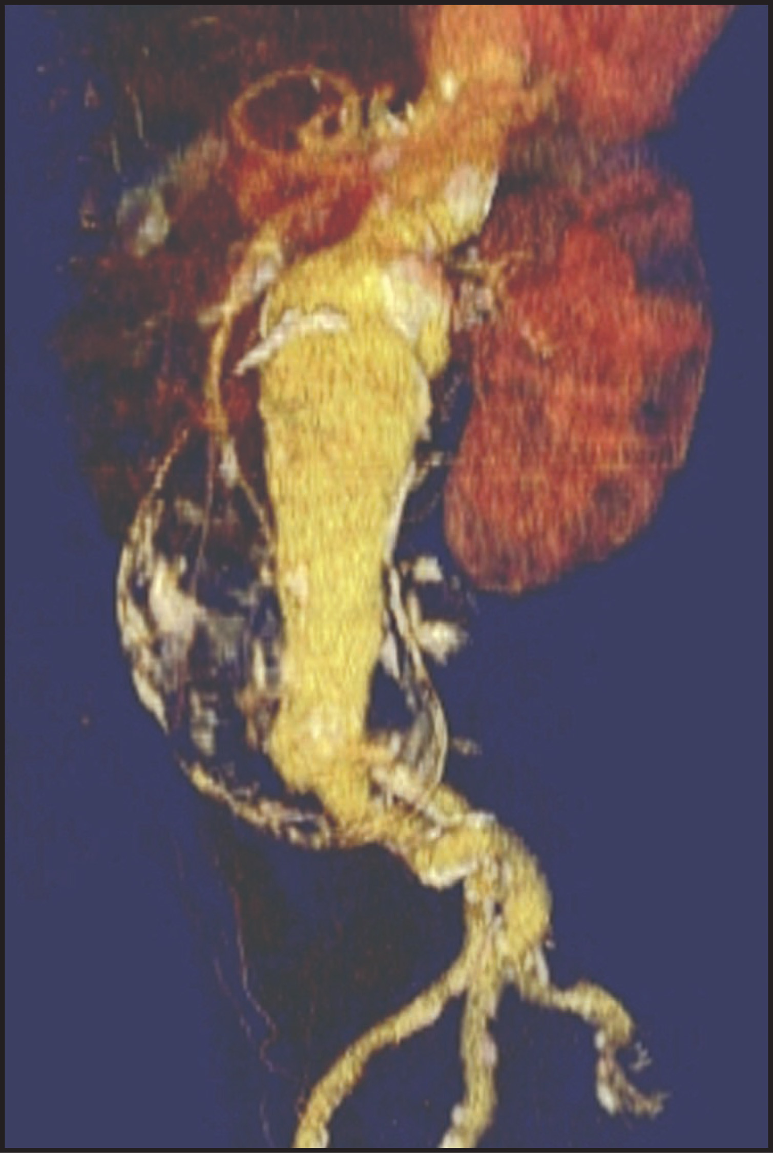 FIGURE 19.