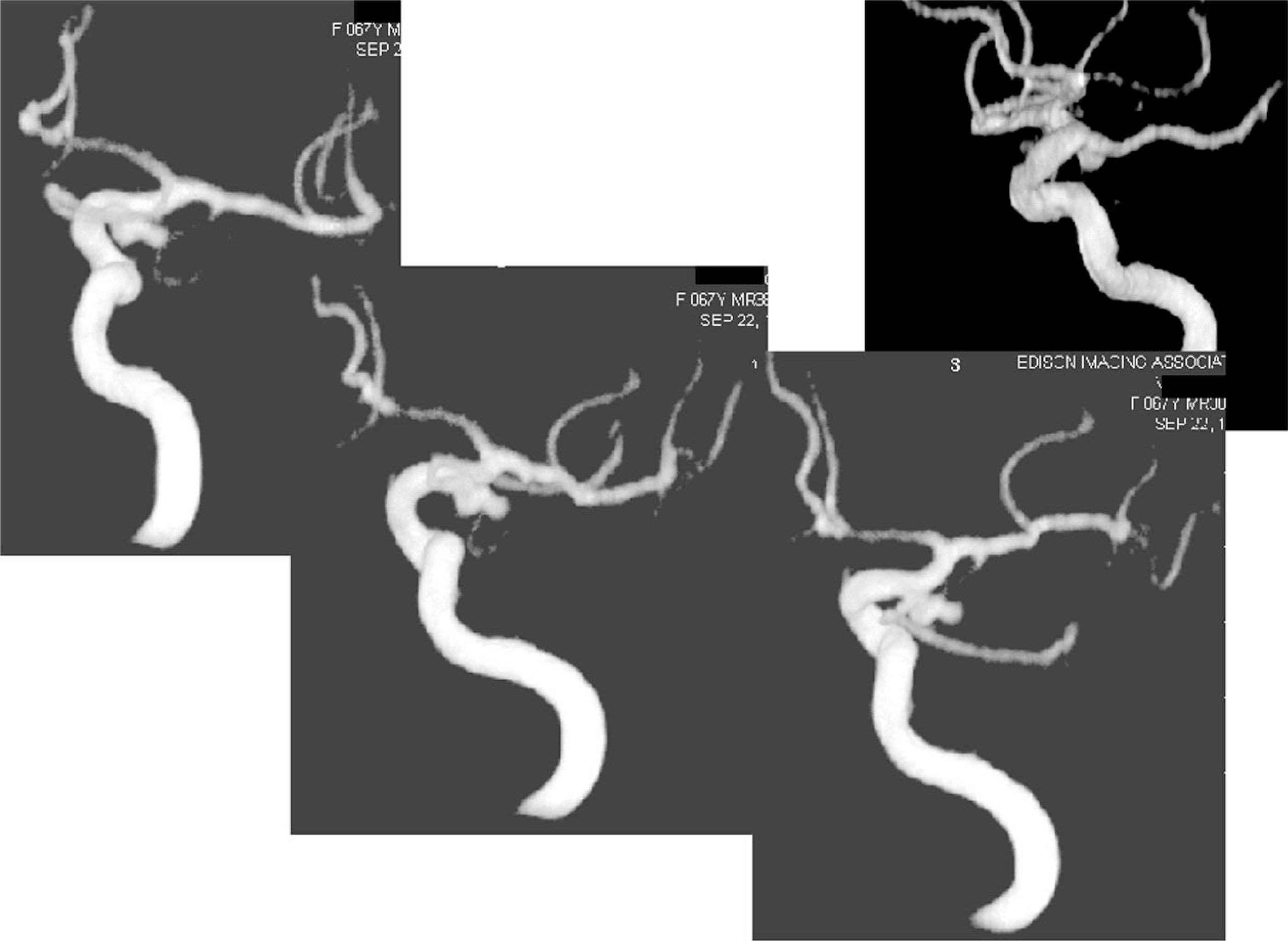 FIGURE 20.