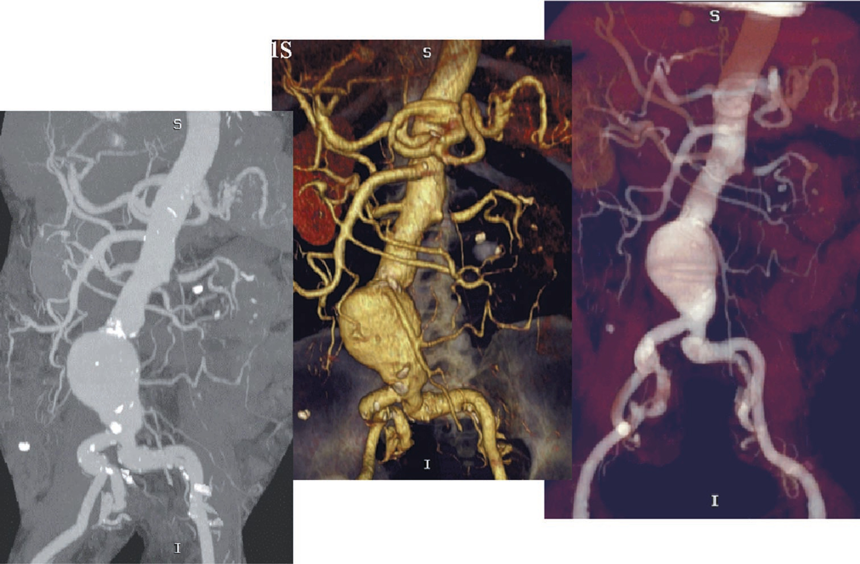 FIGURE 21.