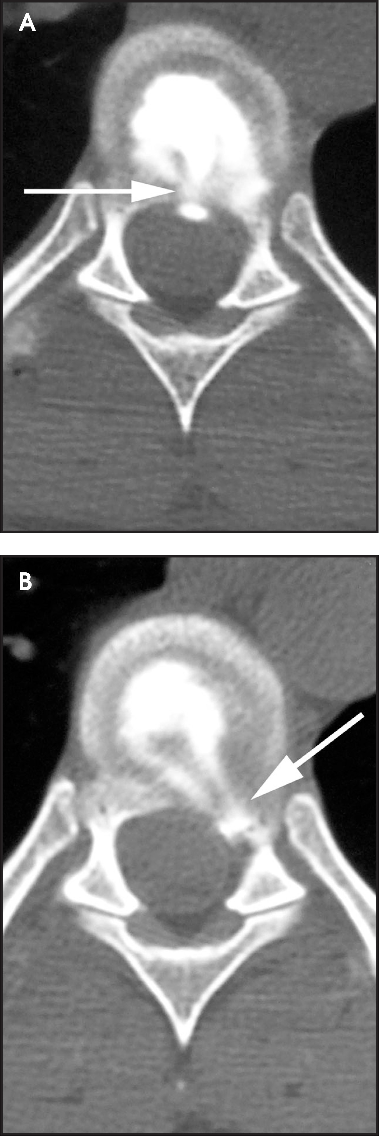 FIGURE 7.