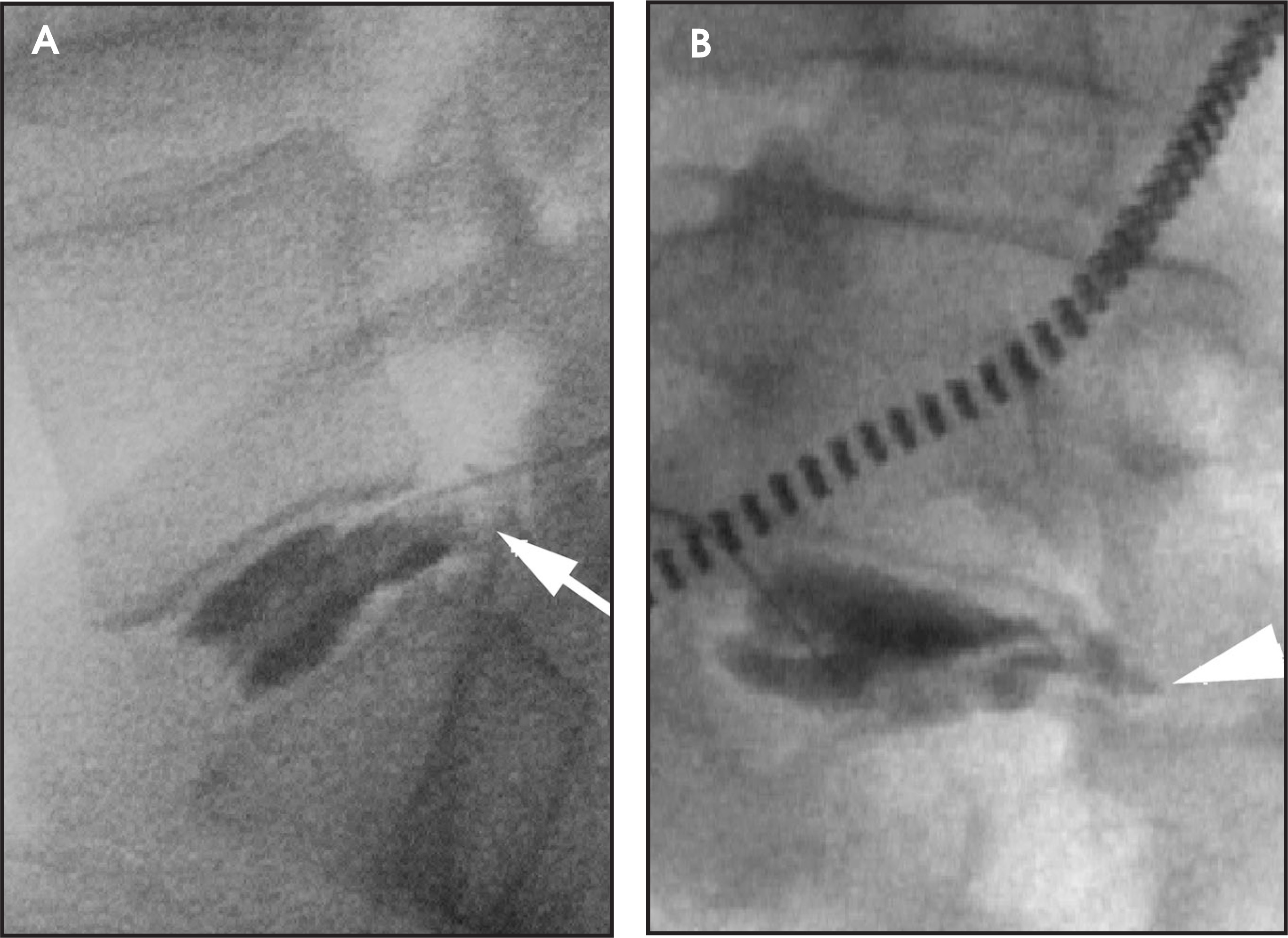 FIGURE 12.