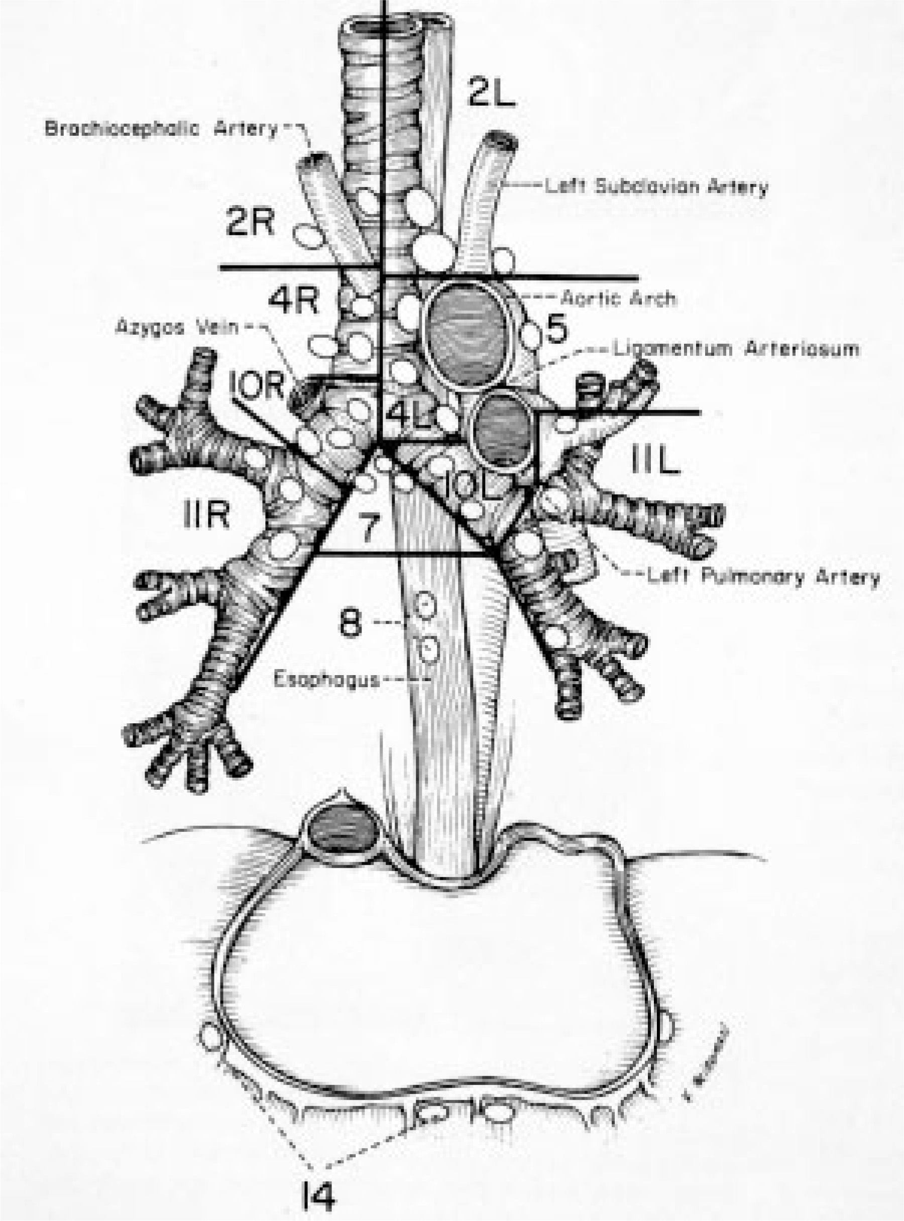FIGURE 10.