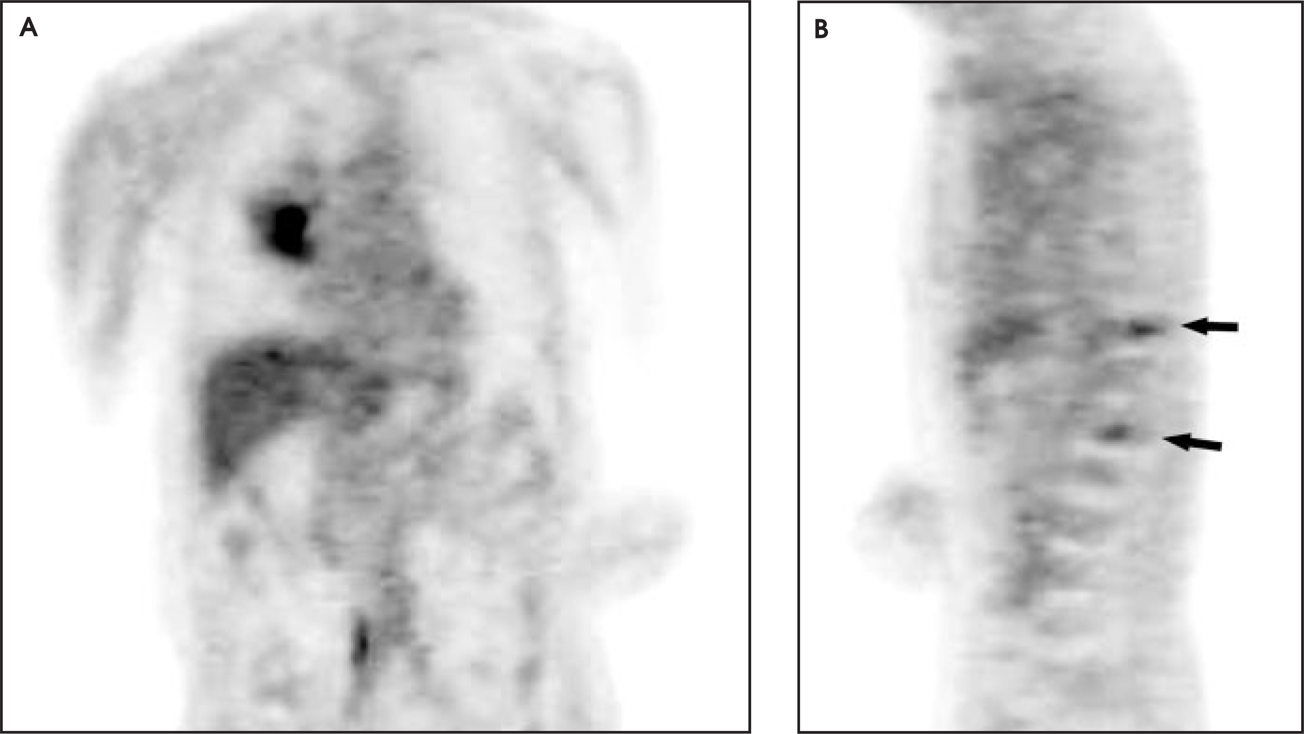 FIGURE 13.